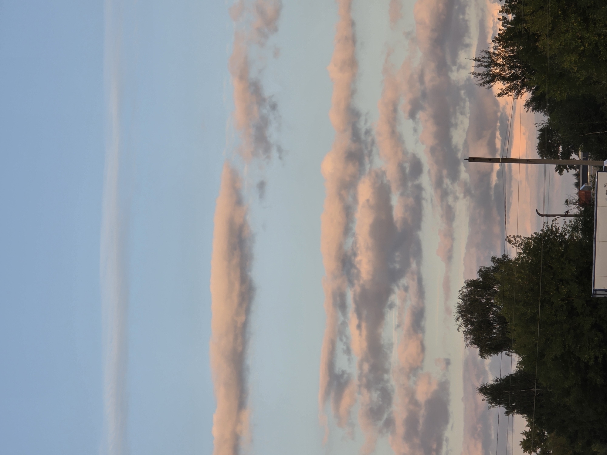 The image captures a late afternoon or early evening sky over a rural or suburban area, possibly in Rechitsy, Russia. The sky is a pale blue, transitioning to warmer tones near the horizon, with several horizontal bands of clouds. These clouds are illuminated with soft pink and orange hues, suggesting the setting sun. Below the sky, a line of dark green trees forms a dense canopy. A tall, thin pole, possibly a utility pole, stands prominently amidst the trees, with electrical wires strung between it and other unseen structures. The lower edge of the image shows the top of a white vehicle, likely a truck or trailer. The overall scene is serene and natural, with a hint of industrial presence due to the pole and wires.