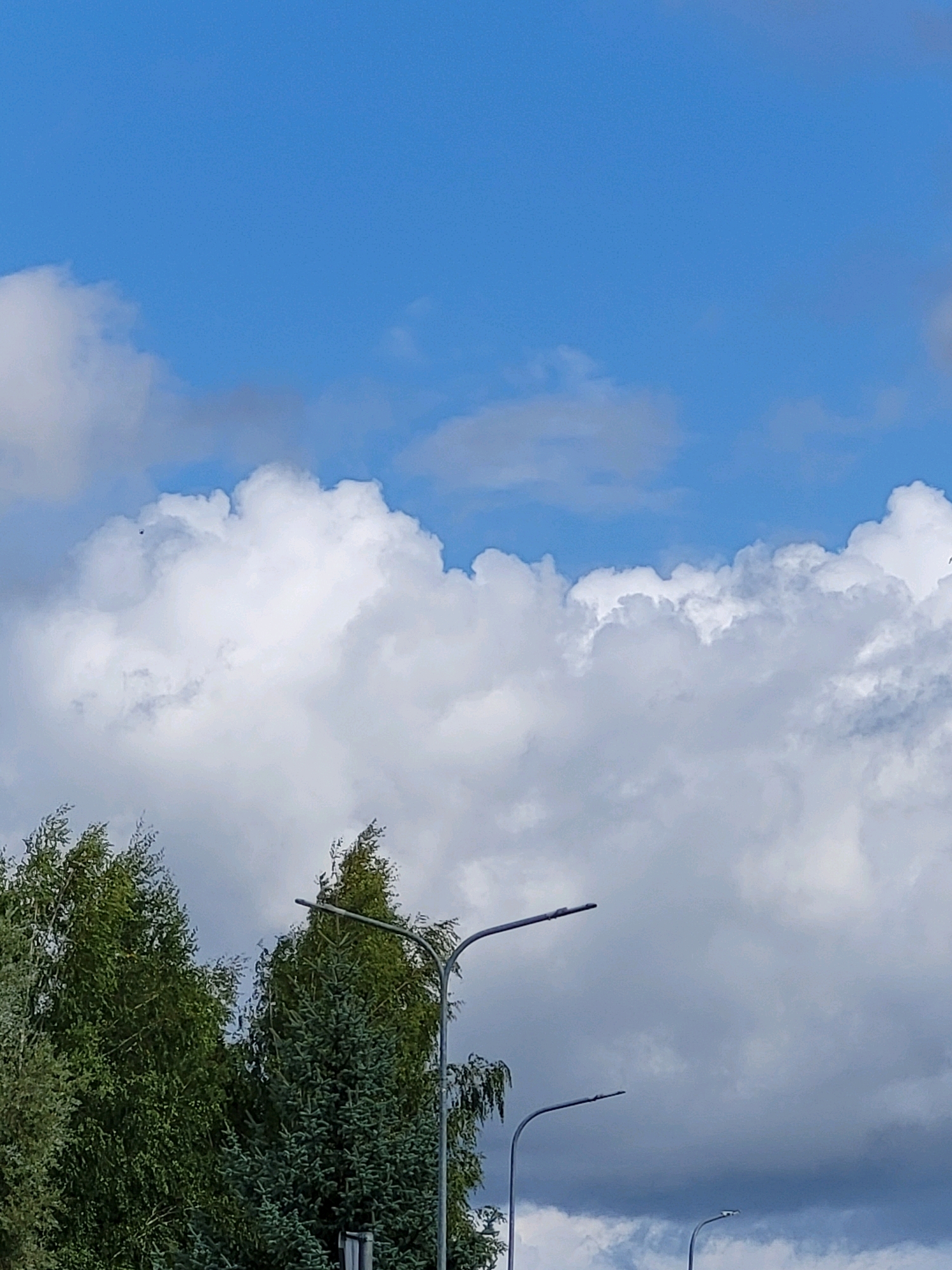 A low-angle shot captures a bright blue sky dotted with fluffy white clouds. In the foreground, the tops of lush green trees, including what appears to be a spruce and deciduous trees, frame the bottom portion of the image. Two streetlights with dark, curved poles and simple lamps are visible against the sky, with a third streetlight further in the distance. The overall scene suggests a clear day in an urban or suburban environment, possibly on the outskirts of the city.