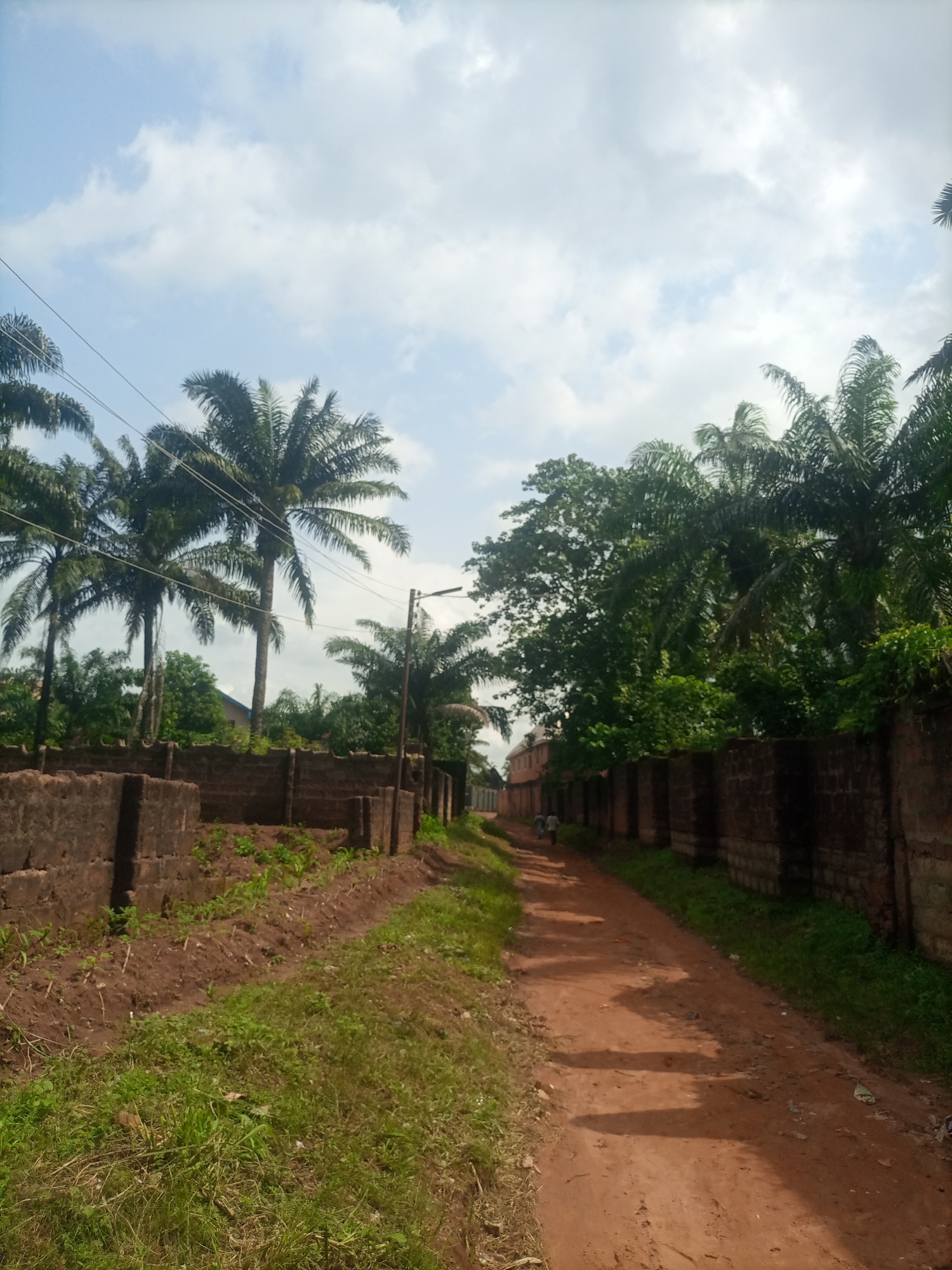 This media file depicts a dusty, reddish-brown dirt road winding through a tropical landscape in Nkpor, Nigeria. The scene is dominated by lush greenery, with numerous palm trees towering over the road and the surrounding areas. A low, brick wall runs along the right side of the road, partially obscured by dense foliage. On the left side of the road, another brick wall is visible, with undeveloped land behind it featuring patches of grass and small plants.
In the distance, two people are walking away from the viewer on the dirt road. A streetlamp stands near the center of the image on the right side, suggesting that the road is used for both daytime and nighttime travel. The sky above is a bright blue, dotted with fluffy white clouds, indicating it is daytime. The overall impression is one of a warm, sunny day in a rural or semi-rural setting within Nigeria. There is no visible text in the media file.