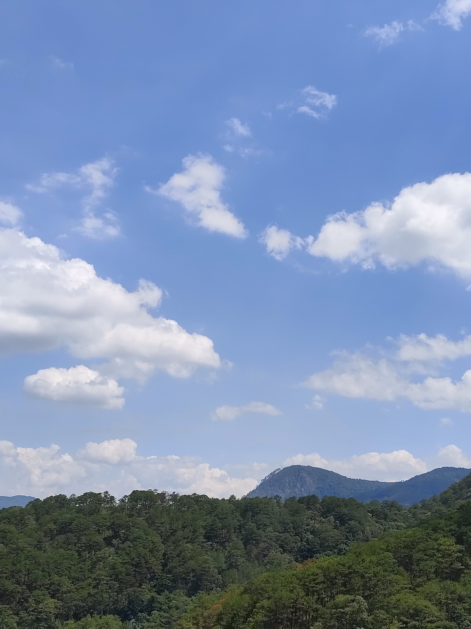 The image shows a daytime scene in Da Lat, Vietnam, featuring a forested hillside and a mountainous backdrop under a partly cloudy sky. The sky occupies a significant portion of the frame and is light blue with numerous puffy white clouds scattered across it. The forested area is lush and green, with a mix of trees covering the terrain. Behind the trees, a mountain range rises, its peaks visible against the sky. The overall atmosphere is bright and clear.