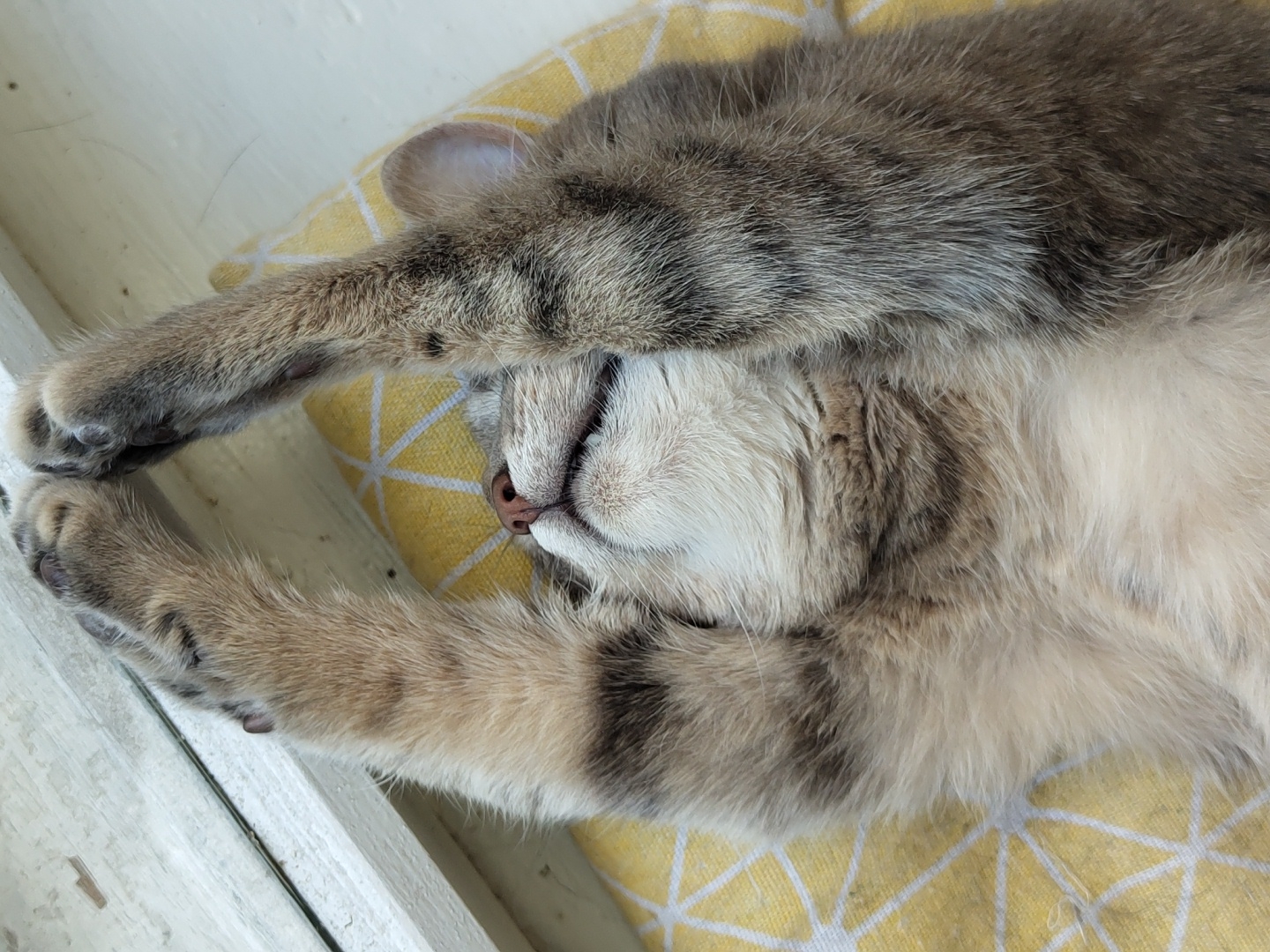A close-up, overhead shot captures a domestic cat sleeping on its back. The cat has tabby markings with stripes of grey, black, and cream. Its paws are stretched out, and its face is partially covered by one of its front legs. The cat is resting on a yellow and white patterned surface, possibly a cushion or blanket, which is positioned on a white windowsill. The background consists of a white wooden frame and a light-colored surface, suggesting the scene takes place indoors near a window. The lighting indicates natural light from the window. There are no people or other animals present in the image. The location is described as Unknown, Unknown.