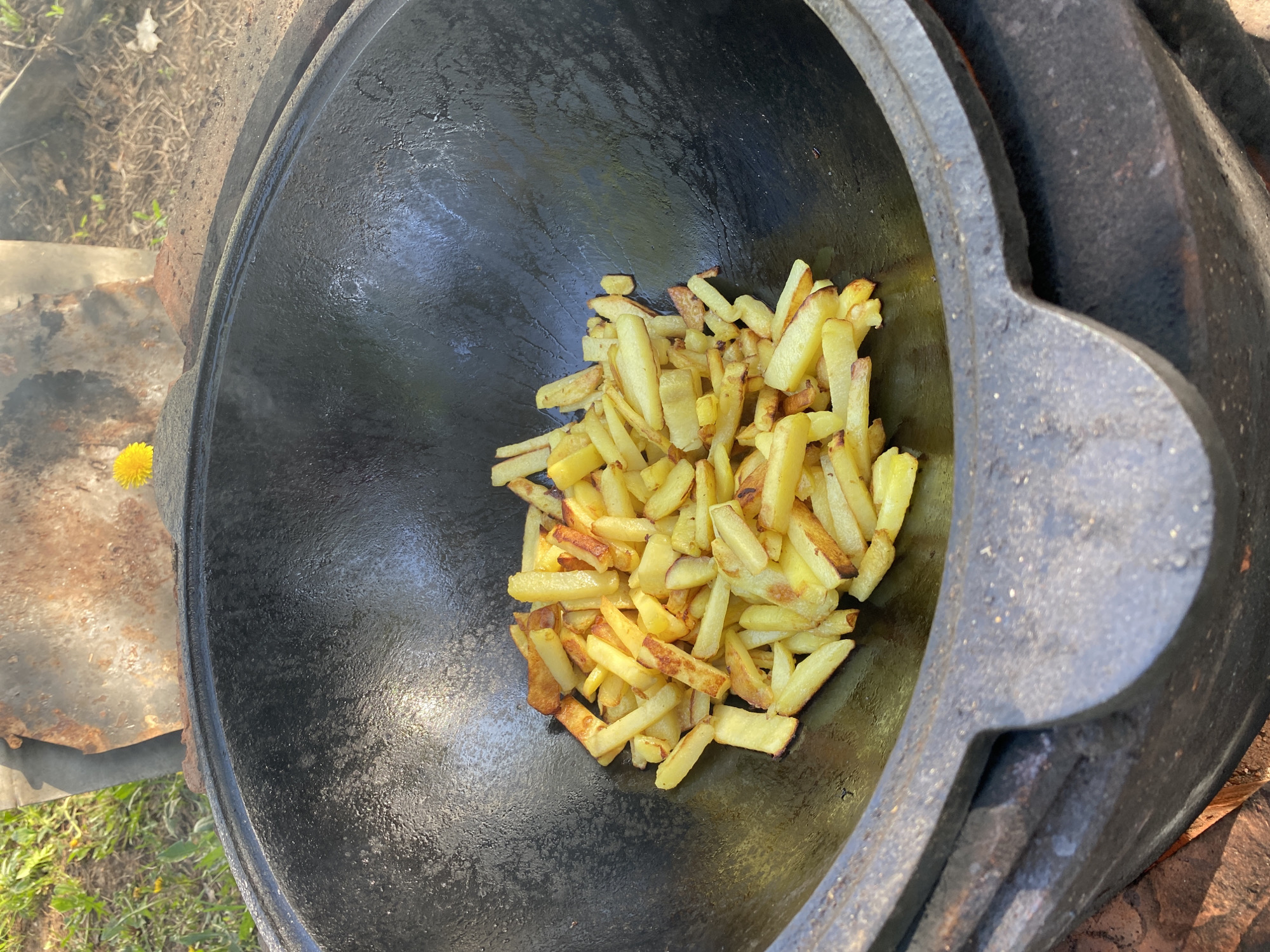 The image shows a large, black, cast-iron cauldron filled with a pile of french fries. The cauldron appears to be outdoors, possibly in a grassy area. A single dandelion is visible near the side of the cauldron. The location is unknown, the prompt suggests the city of Chaikovsky, Russia, however, the image doesn't provide any geographical references. The image does not depict people, actions, or interactions.