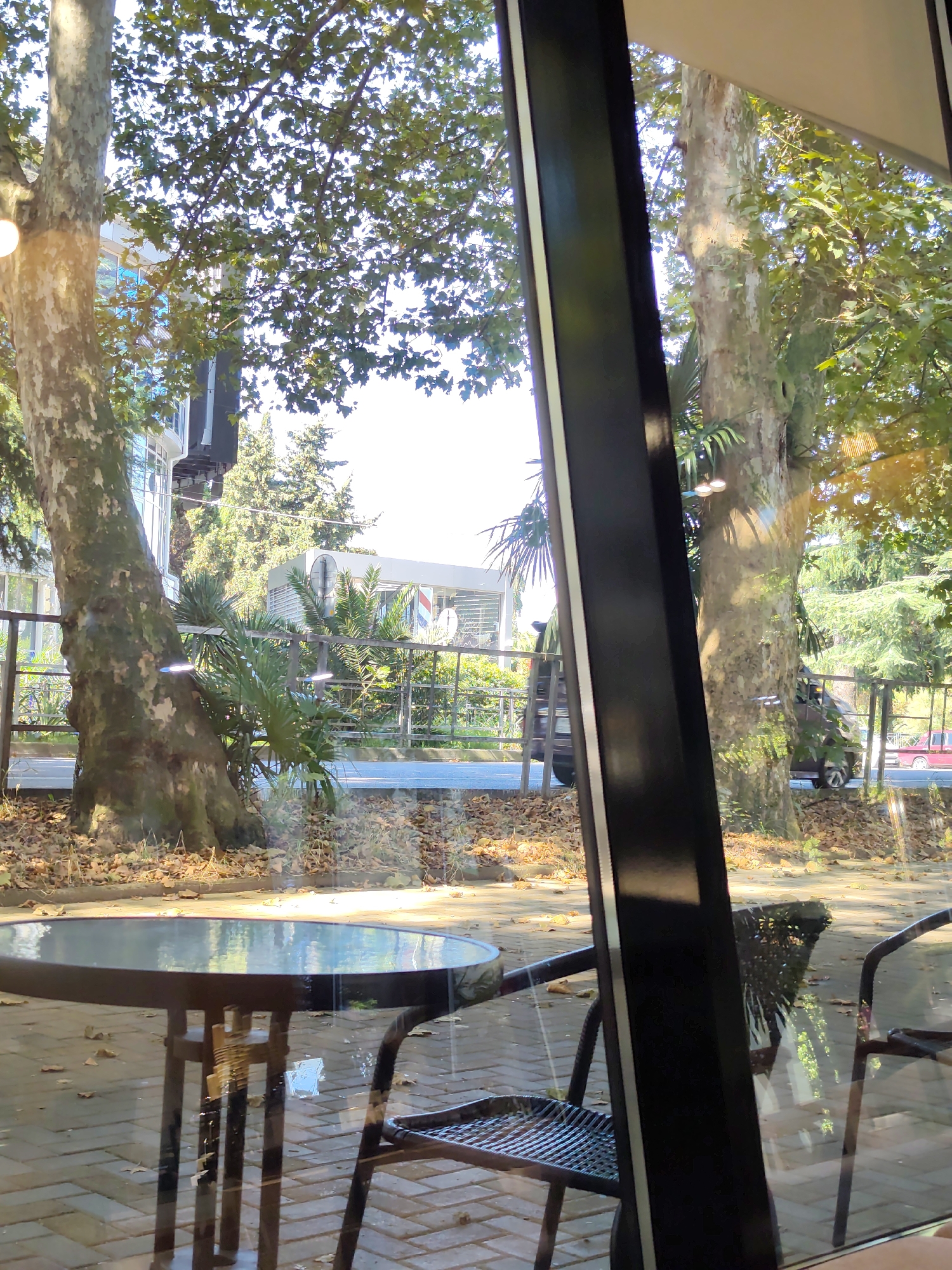 The image depicts an outdoor seating area of a cafe or restaurant, viewed through a window. In the foreground, a round metal table with a dark-colored top is set on a brick-paved patio, with two metal chairs visible. The table and chairs are casting reflections on the wet patio.
Beyond the patio, a sidewalk and a road are visible, bordered by a metal fence. Several trees with large trunks and green foliage are prominent. One large tree stands close to the patio, its bark textured and weathered. Behind the fence, there are palm trees and other greenery. In the background, a building with large windows can be seen, and further back, a light-colored structure with an arched roof. A dark-colored vehicle is parked on the side of the road, and a red vehicle is visible in the distance. The sky is bright and appears to be daytime.
The scene is likely located in Sochi, Russia, given the presence of palm trees and lush vegetation, which are characteristic of the city's subtropical climate, and the style of the building and road infrastructure. The presence of water on the patio suggests recent rain or watering.