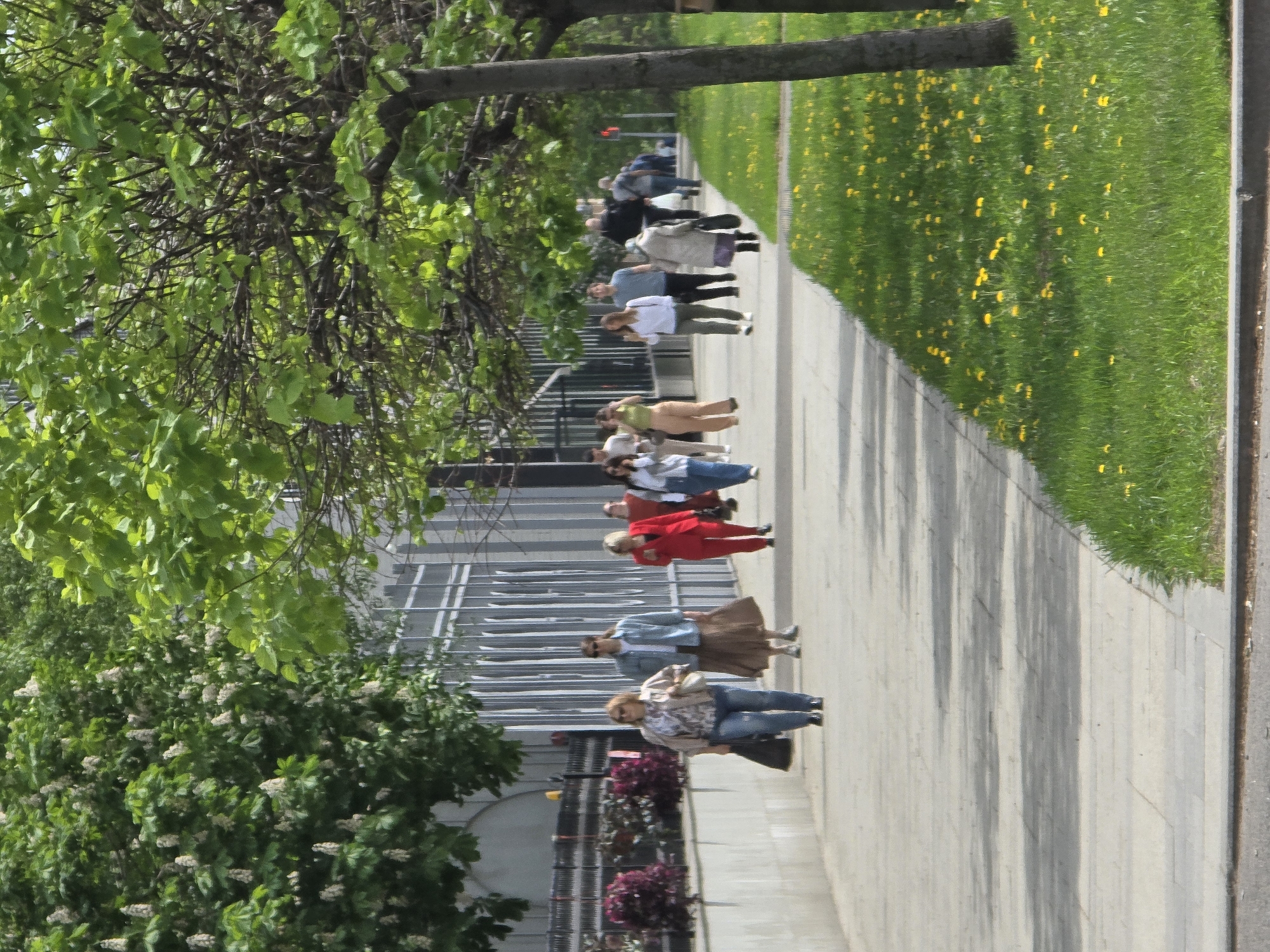 The image depicts a sidewalk scene in what appears to be Moscow, Russia, characterized by a group of people walking along a paved path adjacent to a grassy area with yellow flowers. The background features a modern building with a facade of horizontal windows, as well as blossoming trees. A variety of individuals are present: women in dresses, slacks, jeans, and blouses, and one woman in a red suit. All are walking toward the upper part of the image. A tree branch hangs over the group of people.