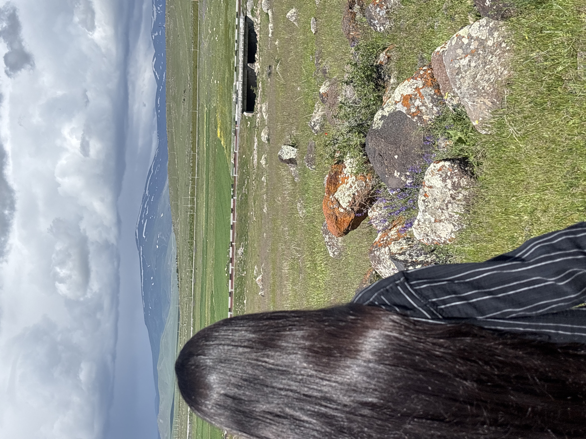 The image, taken in the vicinity of Tlik, Armenia, depicts a landscape viewed from an elevated position. A person with dark, glossy hair and wearing a black and white striped shirt is in the foreground, partially obscuring the view. The background features a green, grassy field dotted with rocks and vegetation. A fence-like structure runs across the field, with a dark, tunnel-like opening visible in the distance. Further in the background, mountains with snow-capped peaks are partially obscured by a cloudy sky.