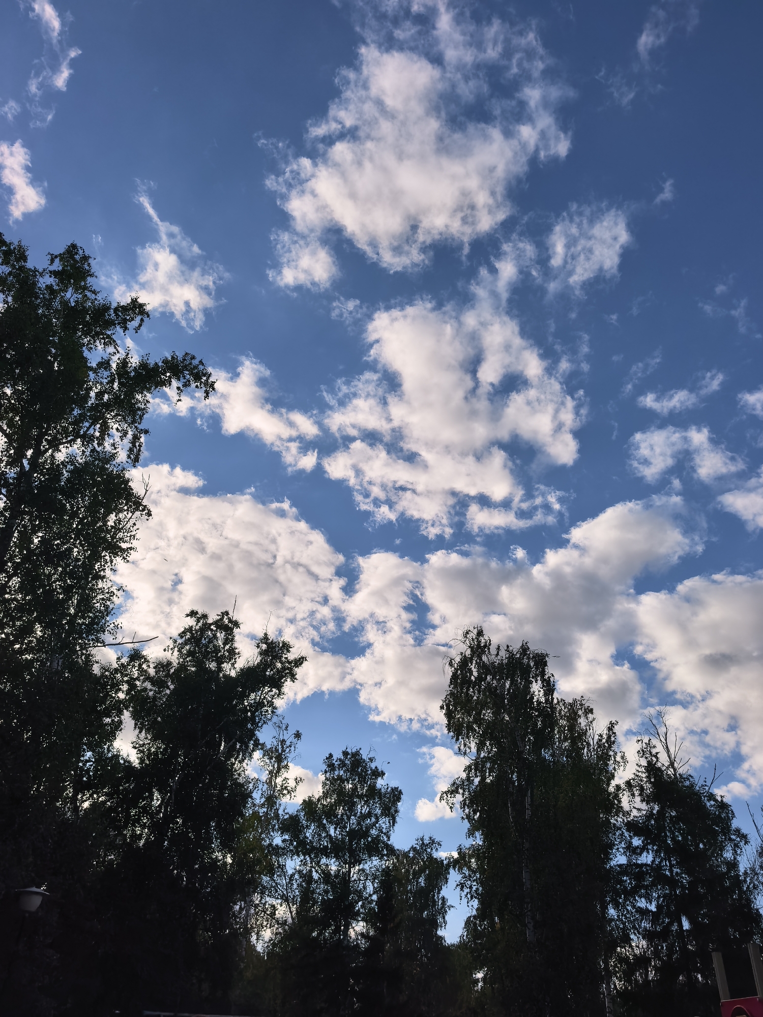The image depicts a sky filled with white, fluffy clouds against a bright blue background. Silhouetted against the sky are the dark outlines of several trees, their branches and foliage creating a jagged, irregular border along the bottom of the frame. A street light is visible on the left side, also in silhouette. The overall scene suggests an outdoor setting, likely during daylight hours, with the trees obscuring any view of the city of Sterlitamak, Russia.
