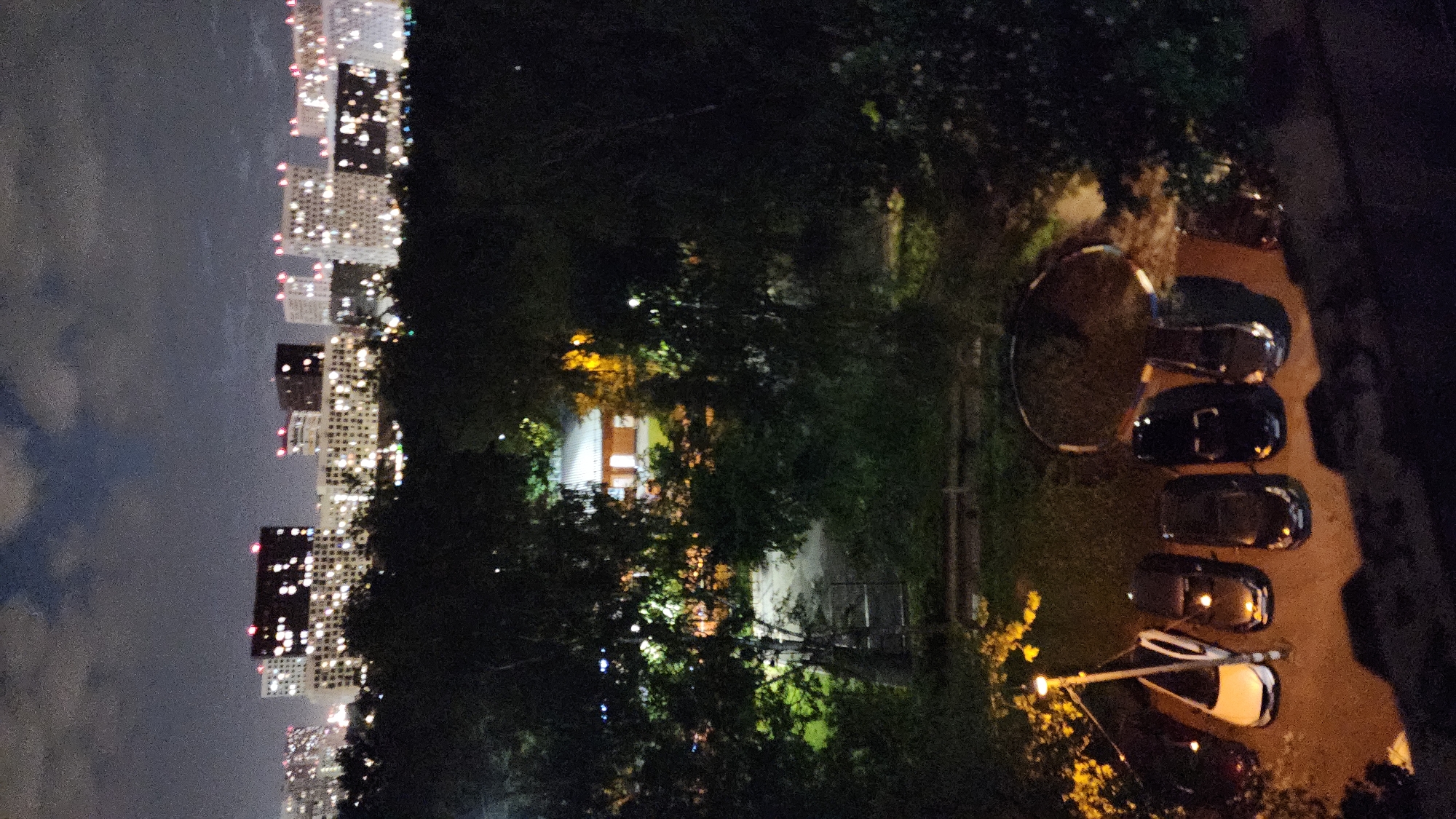The image shows a night scene with a view of a city skyline, likely Moscow, Russia. High-rise buildings with illuminated windows are visible in the distance, obscured by a cloudy sky. In the foreground, trees and vegetation are partially illuminated, suggesting a park or green space. A building with lit windows is seen among the trees. A row of parked cars is also present, along with a street light. The scene is generally dark, with artificial lights providing the main source of illumination.