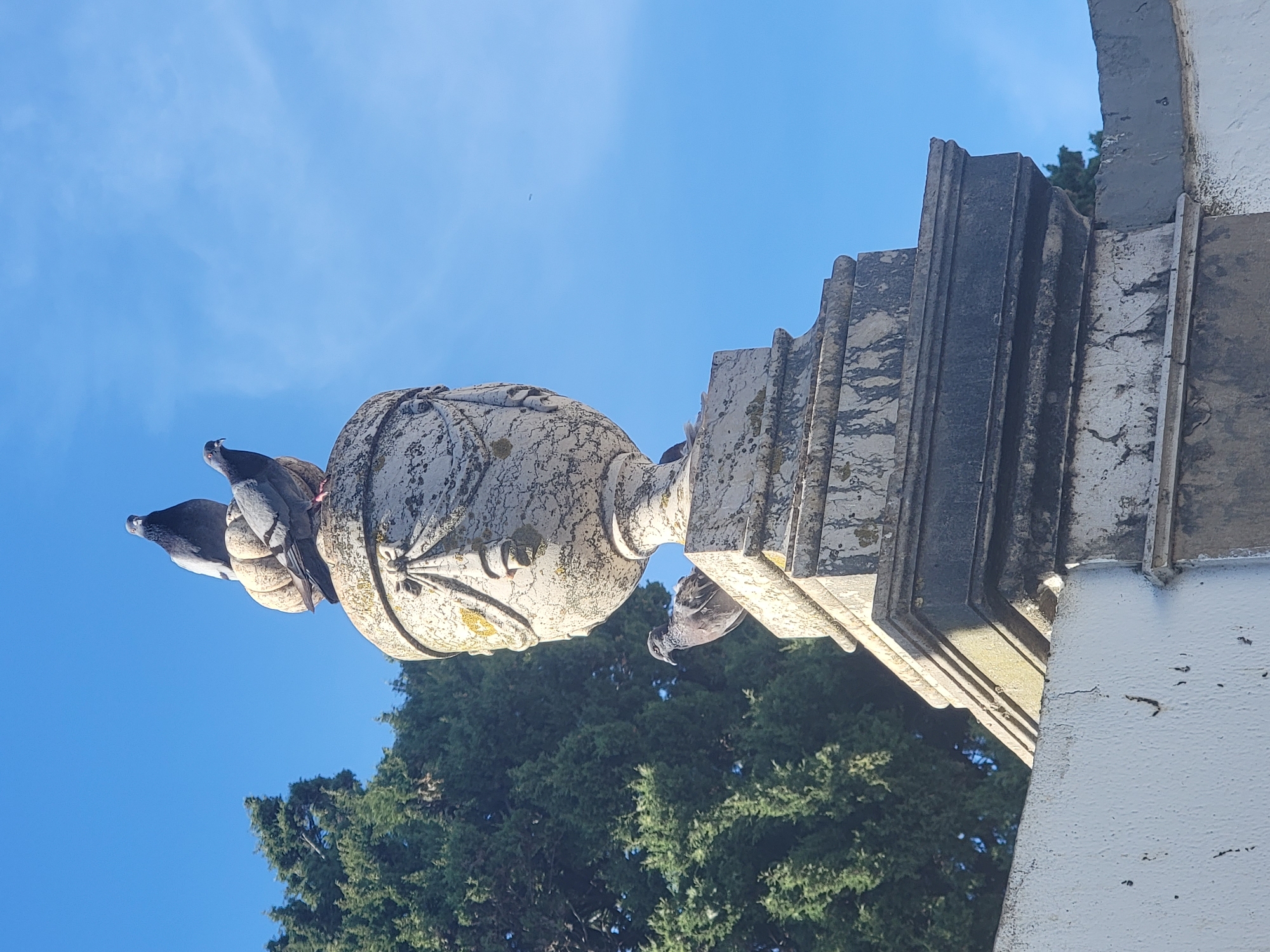 Three pigeons are perched on top of a decorative urn, which sits atop a stone pedestal. The urn is weathered and has carvings that resemble draped fabric. The pedestal is also made of stone and has multiple tiers. In the background, lush green trees are visible against a clear blue sky. The scene appears to be outdoors, possibly in a park or cemetery, given the ornate stone structure and surrounding foliage. The location in Faro, Portugal is not specified in the image itself.