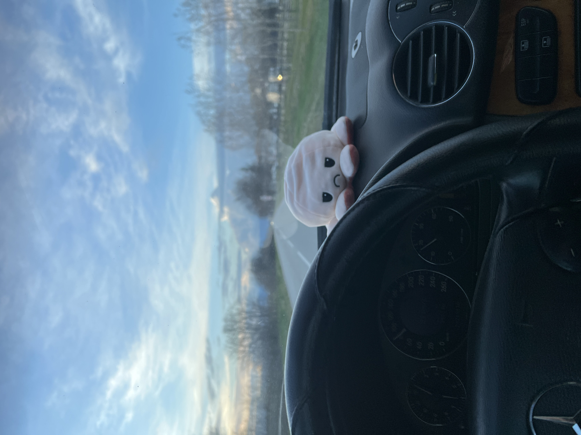 The image shows the interior of a vehicle, specifically the driver's side. A black steering wheel obscures most of the dashboard instruments, though parts of the speedometer are visible. An air vent and some control buttons are visible on the dashboard to the right of the steering wheel. A small, white plush octopus toy is situated on the dashboard. Through the windshield, a road stretches into the distance, flanked by trees and fields. The sky is blue with scattered clouds, suggesting daytime. There is no confirmation that the picture was taken in the city of Zhitnitsa, Bulgaria. No people are visible.