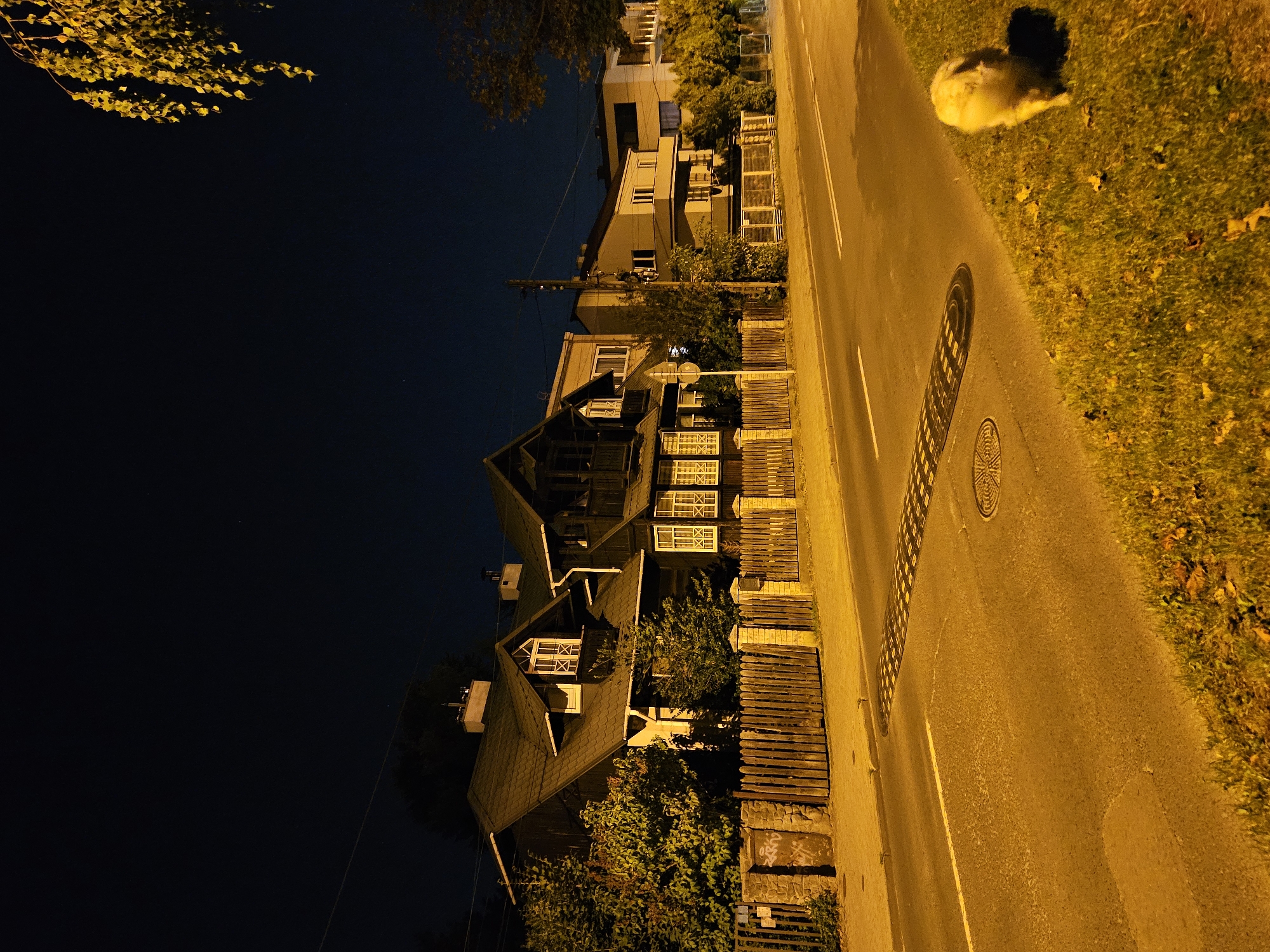 A nighttime photograph captures a street scene in Rzeszów, Poland, featuring several houses and a dog on the grass verge. The houses appear to be of traditional European architecture, with pitched roofs and wooden fences. The street is paved and has a speed bump. The overall lighting suggests an urban or suburban environment, with the yellow glow of streetlights illuminating the scene. A lone dog, appearing to be a medium-sized breed with light-colored fur, is visible on the right side of the image, facing away from the camera and towards the street.