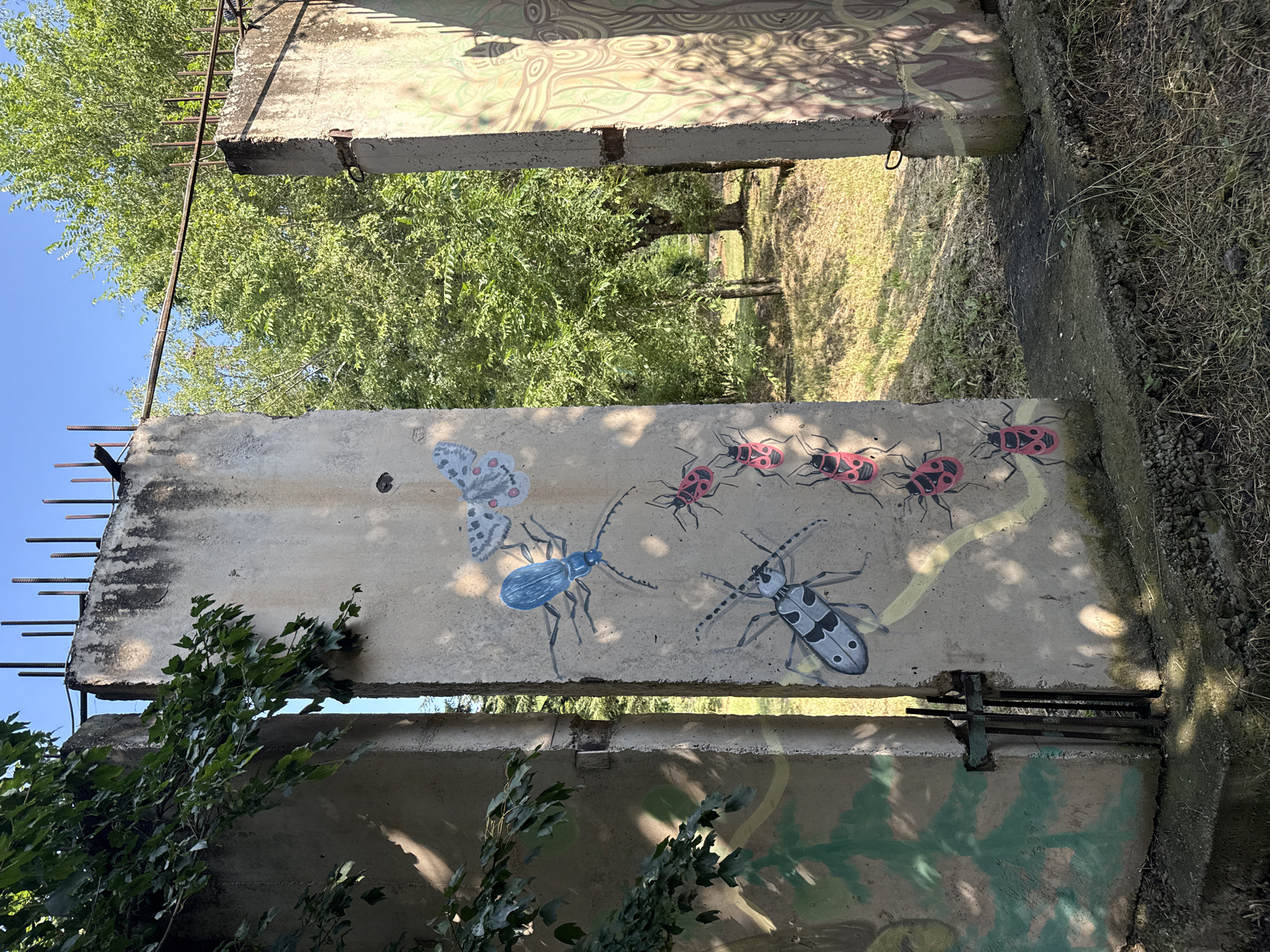 The image depicts two weathered concrete pillars, remnants of a larger structure, standing outdoors in a natural setting. The pillars are adorned with graffiti, featuring painted insects and abstract designs. On the left pillar, there are depictions of several red and black bugs, a blue beetle, and a pale butterfly with red spots. The right pillar has a large, swirling pattern painted in light brown and cream.
Vegetation is prevalent around the pillars, with lush green trees and foliage visible in the background, suggesting a park or natural area. Sunlight filters through the leaves, casting shadows on the concrete surfaces. The ground around the pillars is covered with dry grass, dirt, and small stones. Some metal rebar protrudes from the tops of the pillars, indicating unfinished construction or demolition.
This scene is located in the city of Dilijan, Armenia. Dilijan is known for its natural beauty and is often referred to as the "Switzerland of Armenia" due to its forested mountains and temperate climate, making it a plausible location for such a setting. The graffiti suggests an artistic intervention in what appears to be an abandoned or under-construction site.