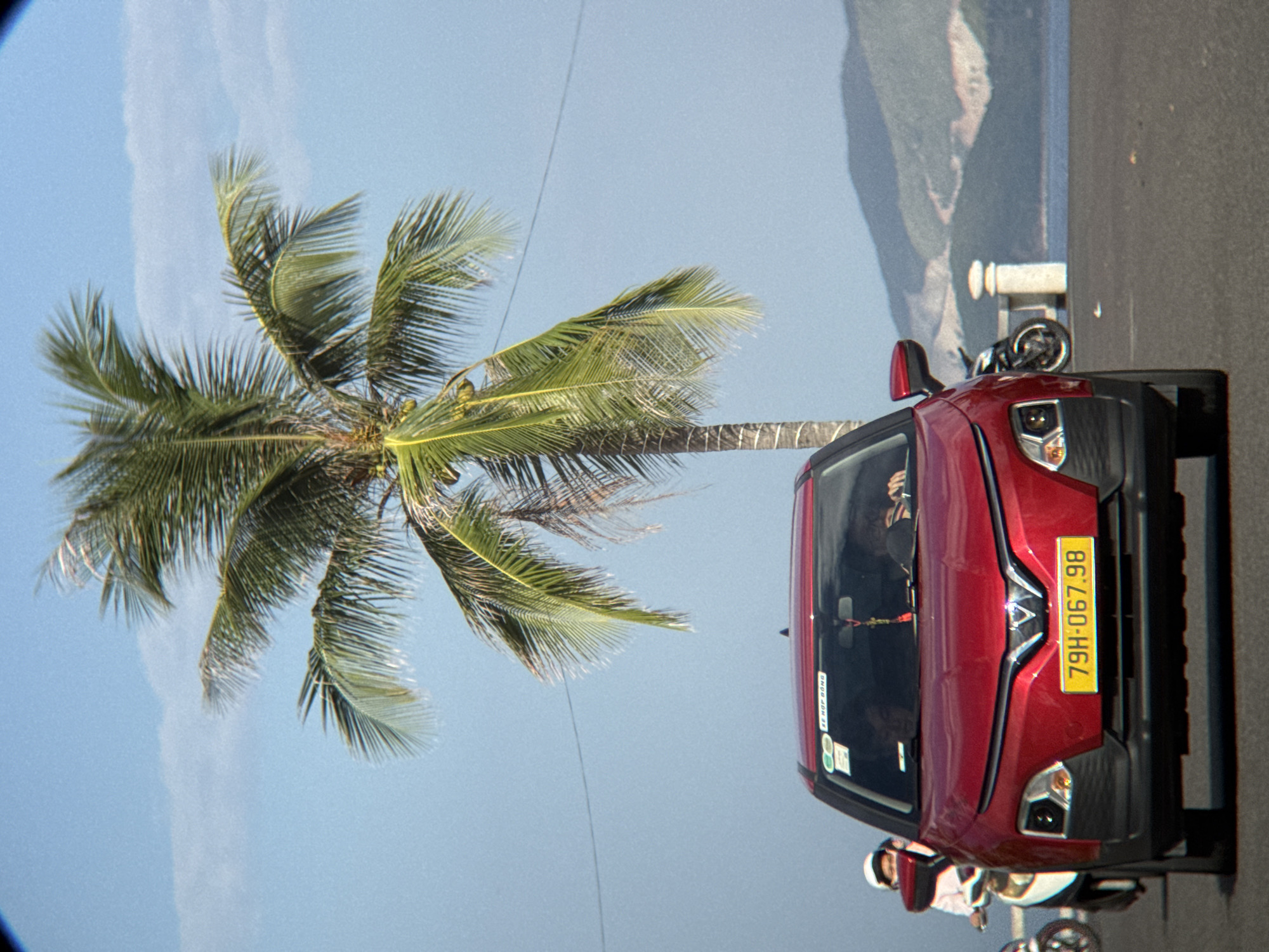 The image depicts a red VinFast Fadil car driving on a paved road in Nha Trang, Vietnam. The car has a yellow license plate reading "79H-067.98". A driver and a passenger are visible inside the car. To the left of the car, a person on a motorbike, wearing a white helmet and pink jacket, is also visible. In the background, a tall palm tree stands against a clear blue sky with some faint clouds. Beyond the palm tree, a body of water, possibly the sea, is visible, with hilly terrain in the distance. A white concrete pillar is situated near the shoreline. The overall scene suggests a coastal road environment in Nha Trang.