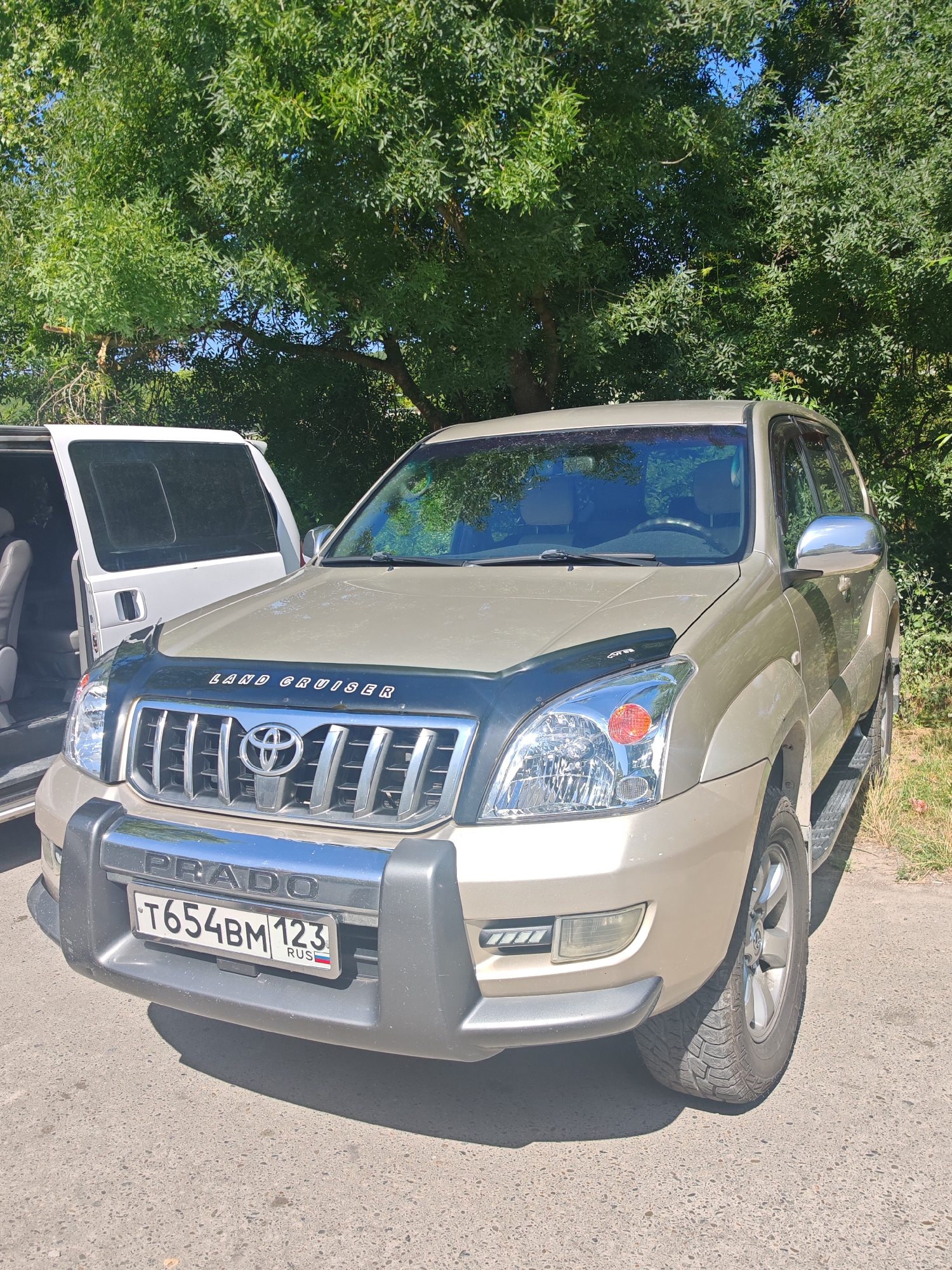 A tan Toyota Land Cruiser Prado is parked on an asphalt surface next to a white van. The Land Cruiser's front end is visible, featuring its grille, headlights, and license plate, which reads "T654BM 123 RUS". The vehicle is positioned in front of a dense line of green trees. The sky above is blue. The scene appears to be in a location such as Varvarovka, Russia, given the license plate. There are no people or animals visible in the image. The lighting suggests it is daytime.