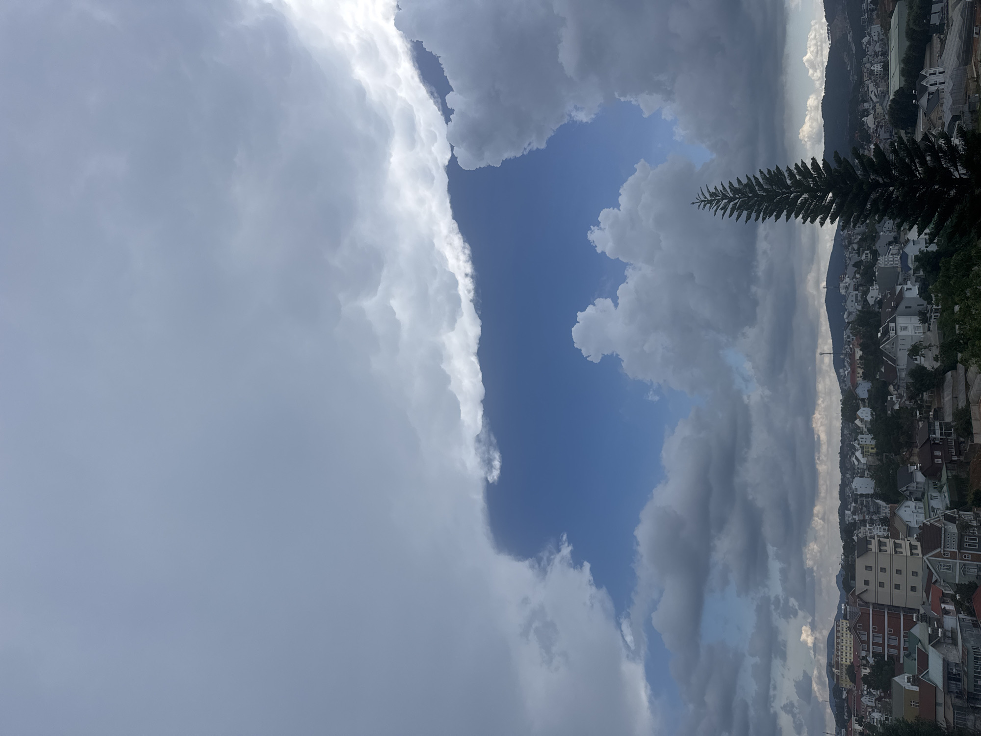 The image depicts a view in Lam Vien - Da Lat, Vietnam. Fluffy white and grey clouds dominate the sky, creating a dynamic and partially overcast atmosphere. A patch of blue sky is visible amidst the clouds. Below the clouds, a hillside city is visible with a variety of buildings, from houses to taller structures, all nestled together on a slope. A prominent conifer tree stands at the right, its foliage extending into the scene. The mountains are present in the background.