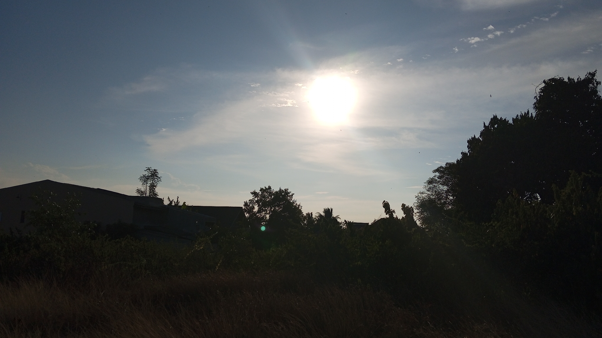 The image depicts a silhouetted landscape at dusk in Geulanggang Baro, Indonesia, with the sun positioned high in the sky and emitting bright rays. The foreground is dominated by dark, dense foliage and dry, tall grass. Behind the vegetation, the dark outlines of buildings are visible, suggesting a residential or urban fringe area. A lone tree stands out against the sky behind one of the structures. The sky itself is a pale blue with scattered clouds, and a few small birds are visible in flight. The overall impression is one of a tranquil, possibly rural or semi-urban setting transitioning into evening.