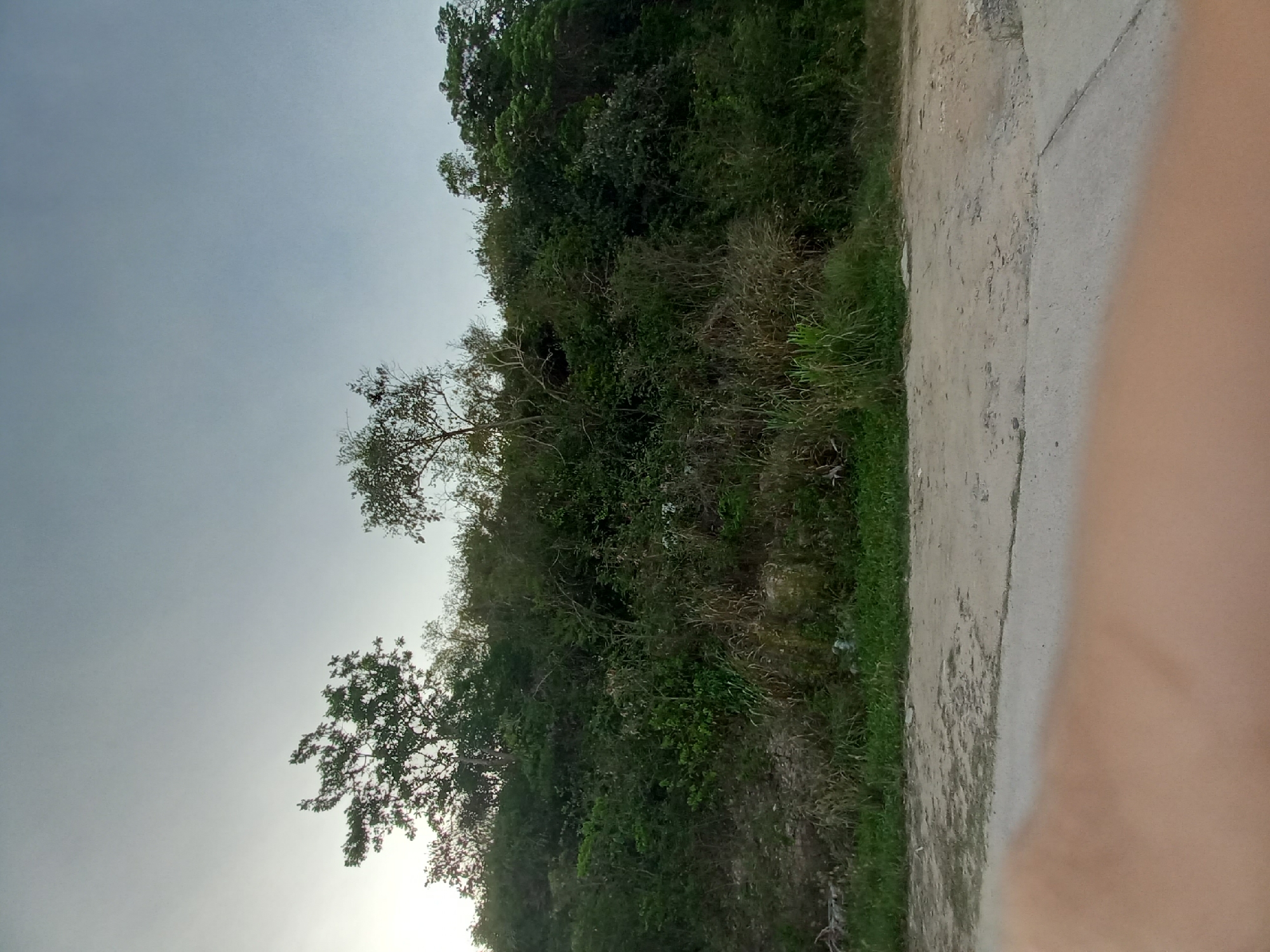 The image depicts a rural roadside scene in Baan Tai, Thailand, likely captured during the daytime. The perspective is from a low angle, tilted sideways. On the left side of the frame, a lush, green hillside is covered with dense vegetation, including trees and shrubs. Some dried grass and thin branches are also visible amongst the foliage. A section of a dirt and gravel road runs alongside the hillside, with a concrete curb or edge. The right side of the image is dominated by a blurred, skin-toned area, suggesting the photographer's hand or arm is in the foreground. The sky is overcast, with a pale, diffused light, indicating it may be early morning, late afternoon, or simply a cloudy day. There are no people or explicit man-made objects visible in the scene other than the road itself. The overall impression is one of a natural, undeveloped area bordering a rural path.