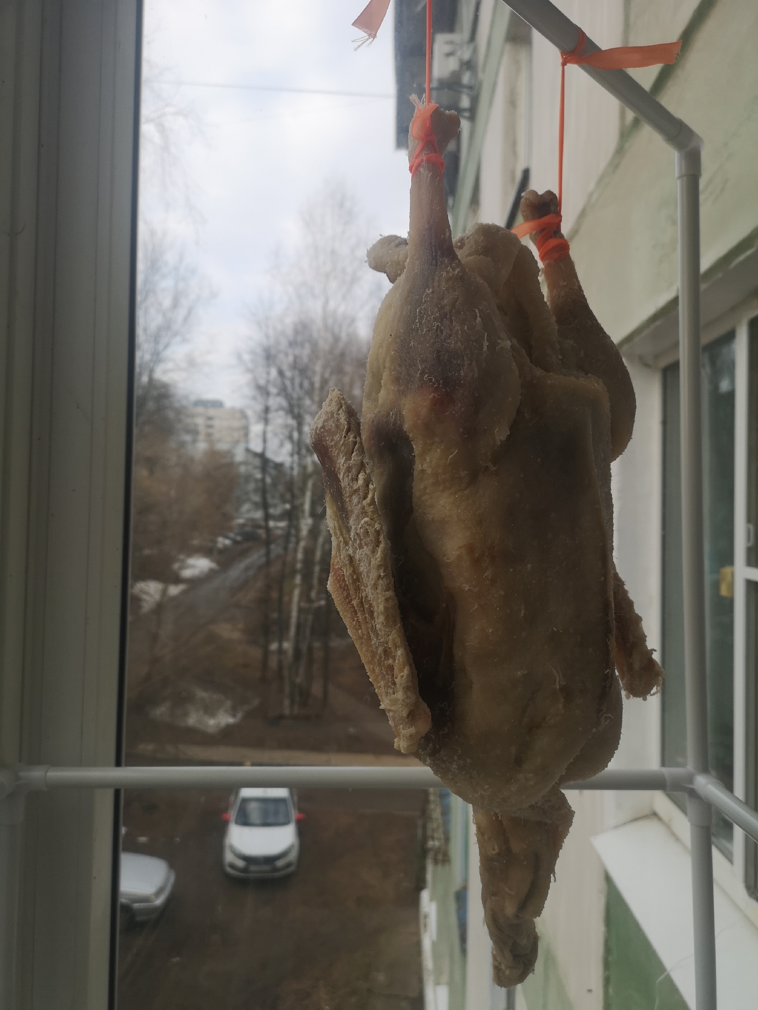A whole, raw chicken hangs upside down by its feet from a white PVC pipe frame on a balcony. The chicken's feet are tied with orange plastic ribbons. The balcony overlooks a courtyard with bare trees and a few cars parked below, reflecting the cloudy sky. In the background, buildings are visible, suggesting an urban setting. The location is likely Chaikovsky, Russia.