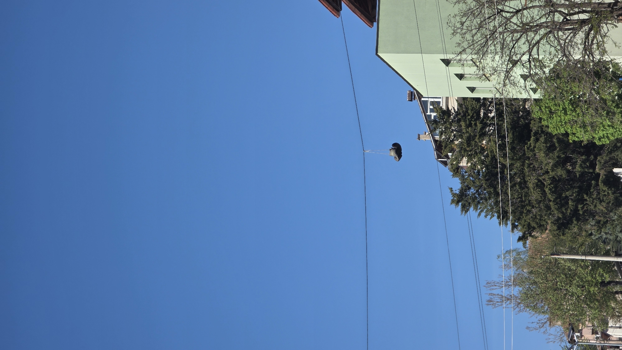 The image, possibly taken in Blagoevgrad, Bulgaria, shows a clear, blue sky taking up the majority of the frame. A pair of black shoes is suspended from a power line, likely thrown and now dangling by the laces. To the right, the corner of a light green building with windows and a partial red roof is visible, along with the tops of trees with varying shades of green foliage. Power lines stretch across the image, intersecting the shoes and connecting to buildings and trees. There are no people visible.