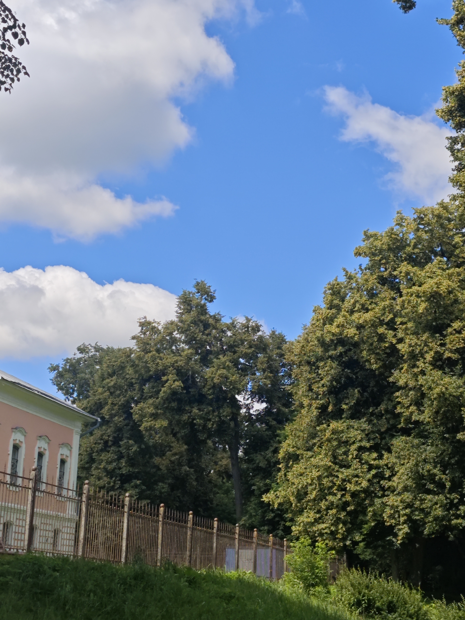 A low-angle shot captures a sun-drenched scene with a bright blue sky dotted with fluffy white clouds. On the left, the top of a pale pink building with a green roofline is visible, featuring arched windows with ornate dark metal bars. A rusty metal fence runs horizontally across the foreground, bordering a lush green grassy area. Behind the fence, a dense line of mature trees with vibrant green foliage dominates the middle and right portions of the image. The sunlight illuminates the leaves of the trees, creating a bright and cheerful atmosphere. The time of day appears to be daytime, with clear weather and bright sunshine. The setting suggests an outdoor location, possibly a park or estate, in Chekhov, Russia, given the architectural style and the presence of mature trees. No people or text are visible in the frame.