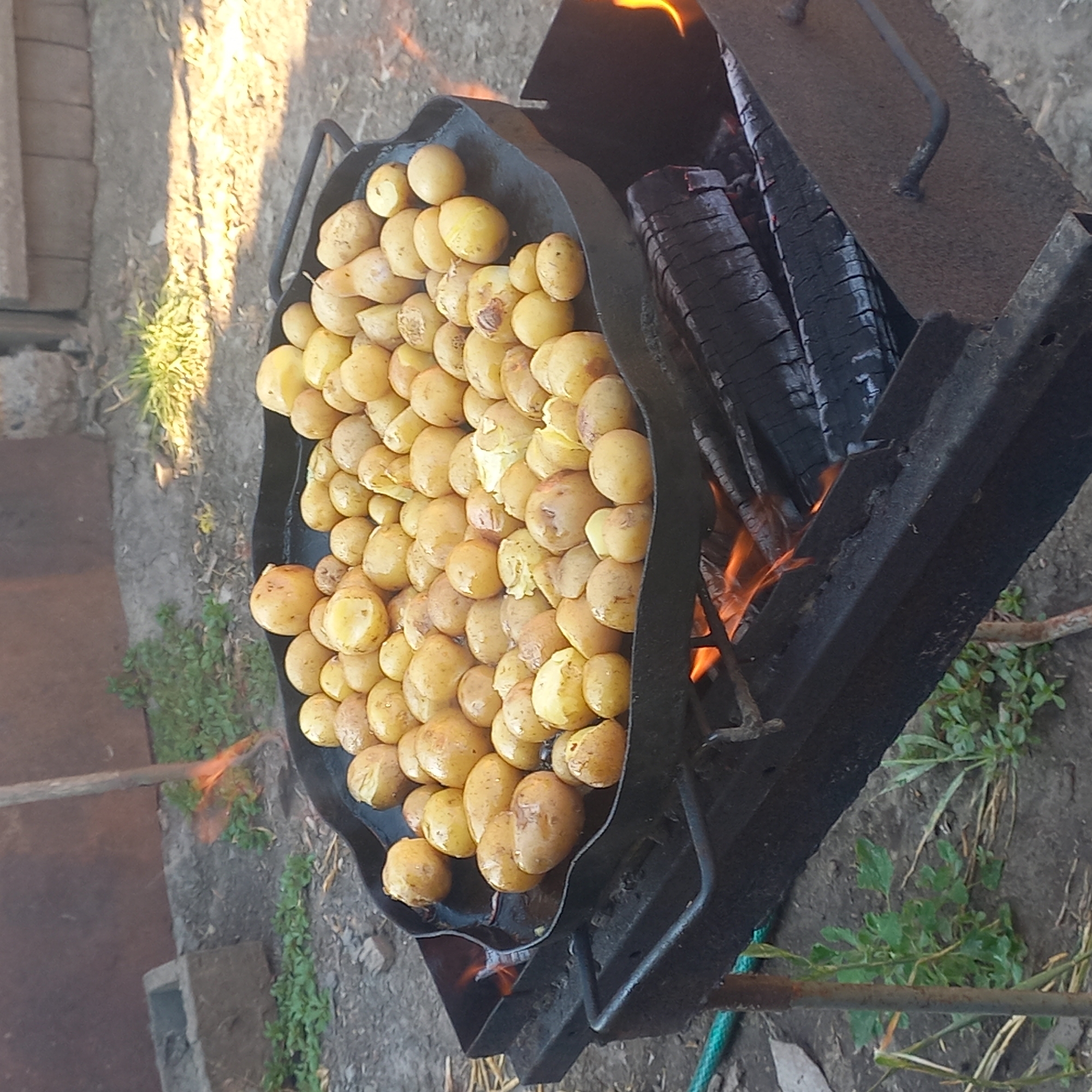 An outdoor scene depicts a large, round, black metal skillet filled with numerous small, whole, and halved potatoes. The skillet is placed directly over an open fire within a black metal grill. Several logs are visible within the grill, some showing glowing embers and flames licking upwards. The potatoes appear to be in various stages of cooking, with some showing browned skins and others with exposed white flesh.
The background suggests a rural or semi-rural setting. To the left, a concrete block is visible on the ground. Beyond that, there is dry earth and sparse green vegetation. In the upper portion of the image, a dark wooden fence or wall is present, and to the right of it, more dry grass or vegetation. The overall lighting suggests it is daytime, with sunlight casting some shadows. There are no people visible in the image. The scene is consistent with outdoor cooking, potentially in a backyard or a designated cooking area. The location in Klyntsi, Ukraine, is noted.