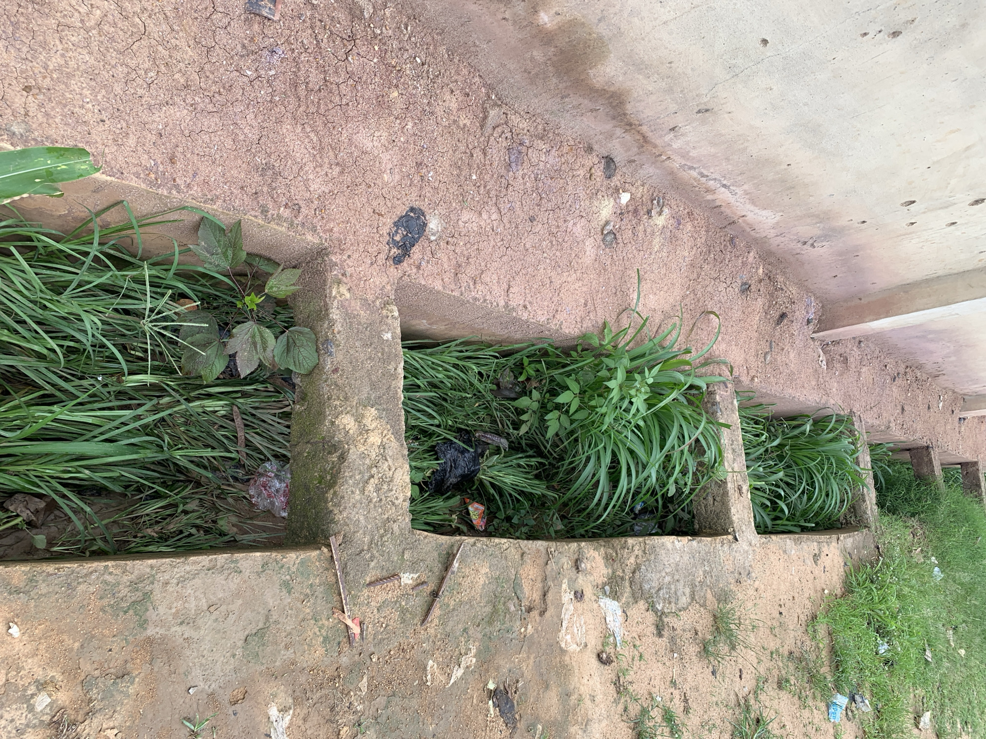 This image, captured in Rafin Par, Nigeria, presents an elevated perspective of a neglected concrete drainage system adjacent to a light-colored wall. The main subject is an open concrete channel, partially covered by concrete crossbeams, which is densely overgrown with various green grasses and broad-leafed vegetation. Within the vegetation and on the cracked, reddish-brown earth surrounding the channel, numerous pieces of refuse are scattered, including black and clear plastic bags, plastic wrappers, and other indistinguishable debris. Several lengths of twisted metal rebar lie on the ground near the lower right section of the channel. The earth adjacent to the channel exhibits significant cracking, indicative of dry conditions. A light-colored concrete or plastered wall runs parallel to the drainage system on the left, displaying stains, discolored patches, and minor surface irregularities. No individuals or animals are visible, and no actions are occurring.