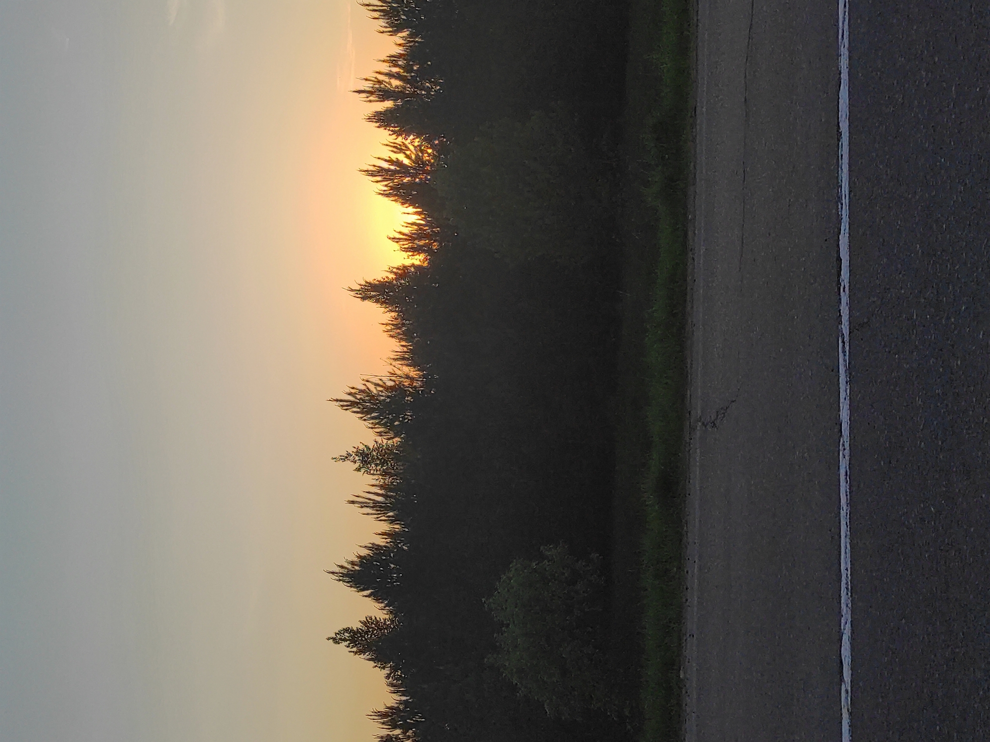 The image shows a roadside scene in Прикамский, Russia at sunset. The sky is a pale orange near the horizon, fading to a light blue above. A dense line of trees obscures the direct view of the setting sun. To the right, a section of asphalt road is visible, with a painted white dividing line. Some sparse vegetation grows along the edge of the road. No people or vehicles are visible.