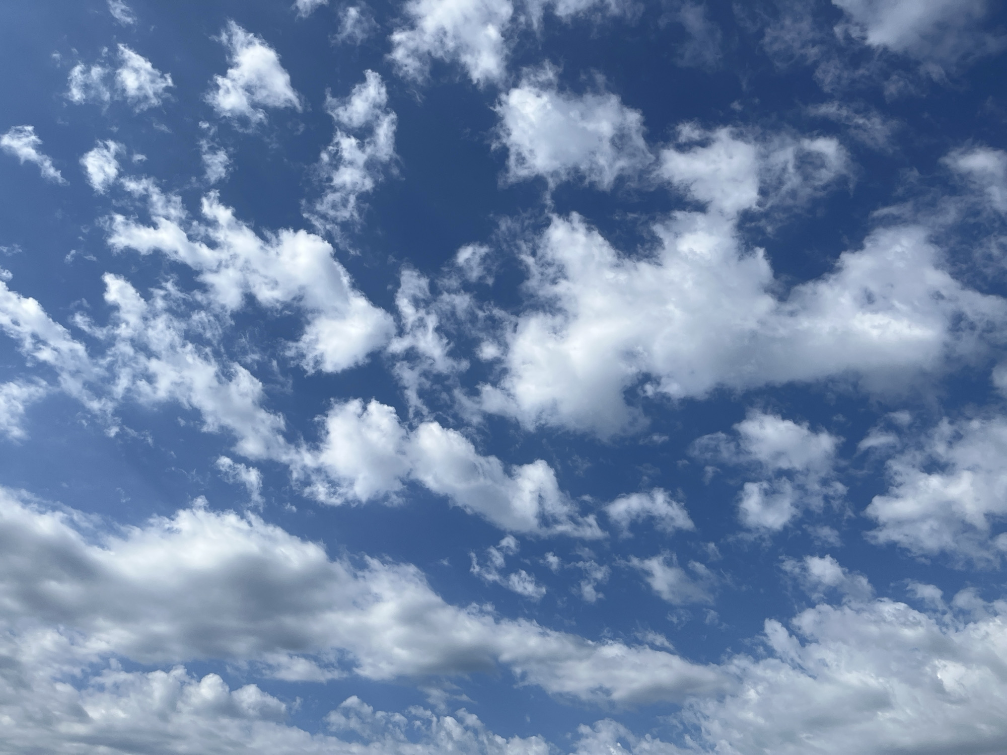 The image shows a daytime sky filled with clouds. The sky is a deep blue color, with white clouds scattered throughout. The clouds vary in size and shape, ranging from small, wispy formations to larger, more dense masses. The clouds at the bottom of the image are darker and more gray, suggesting they may be lower in the atmosphere or potentially rain-bearing. The location is Adygeysk, Russia. No people, other subjects, objects, actions, or interactions are present in this environment.