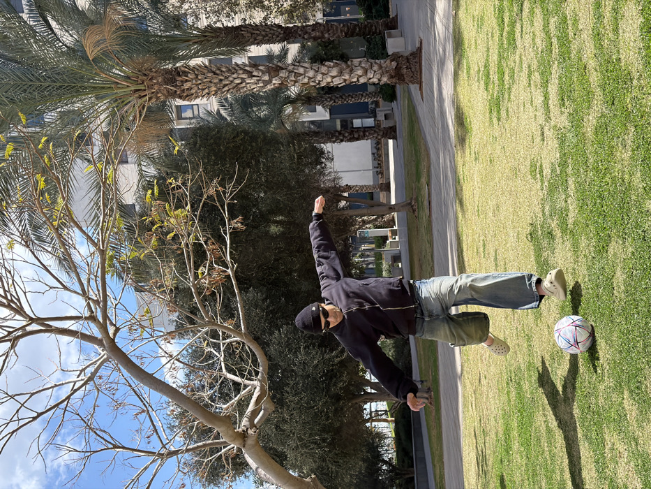 An adult male is depicted in mid-air on a grassy lawn within an urban park setting in Tel-Aviv, Israel. The individual wears a black beanie with a white emblem, dark sunglasses, a black zippered bomber jacket, light blue wide-leg denim jeans, and light-toned Crocs-style clogs. His arms are extended horizontally for balance, and both legs are bent and elevated from the ground. A white soccer ball with pink, purple, and black geometric patterns is positioned directly beneath his right foot, indicating an active kick or dribble. The foreground features green grass with visible shadows. The mid-ground contains paved walkways and various trees, including a leafless deciduous tree with gnarled branches in the upper left, and multiple dense green trees and tall palm trees with textured trunks towards the right. Several modern, multi-story buildings with light facades are visible in the background. The sky is clear blue with minimal clouds, indicative of daylight conditions.