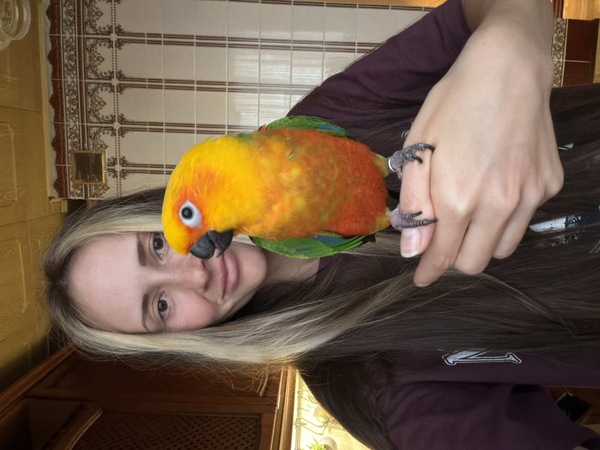A woman with light skin, light brown hair with blonde highlights, and brown eyes is holding a brightly colored Sun Conure parrot. The parrot has a yellow head, orange body, and green and blue wing feathers. The woman is wearing a maroon-colored shirt with a logo on the lower right. The background features tiled walls with brown and white patterns. The image location cannot be determined to be Khimki, Russia from the given visual information.