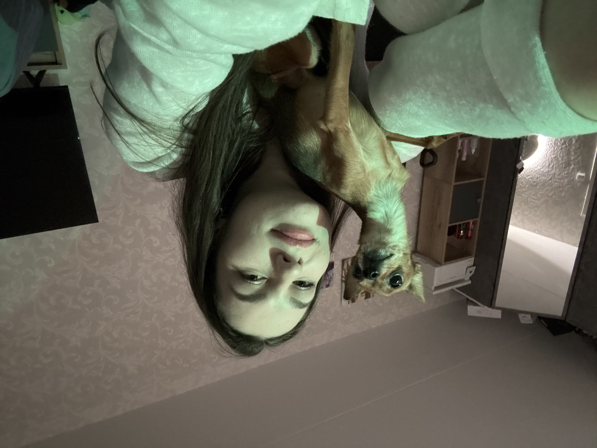 The image, taken in Chaikovsky, Russia, shows a young woman and a small dog in an indoor setting. The original photo is inverted, presenting an unusual perspective, possibly a selfie taken while lying down.
**Subjects:** A young woman with long, dark hair is visible from her chest upwards. She has fair skin and a neutral to slightly smiling expression, looking directly at the camera. Beside and slightly above her head is a small, light brown dog, likely a Chihuahua, also looking towards the camera with an attentive gaze. Both the woman and dog appear to be partially covered by a soft, light-colored, possibly white or pale green, blanket or robe.
**Scene and Setting:** The background suggests a cozy residential interior. To the left, a portion of a dark rectangular object, possibly a TV or monitor, is visible. The wall behind them features a subtle, light-colored patterned wallpaper. On the right side, there's a wooden shelf unit containing a few small items, and further right, what appears to be a mirror or a doorway reflecting a plain, light-colored floor or wall. The overall lighting is dim, suggesting it might be evening or night, with artificial light casting a slight greenish tint, especially noticeable on the blanket.
**Activity or Event:** The subjects appear to be relaxing together, possibly on a bed or sofa. The upward angle of the shot suggests the person taking the photo was lying down beneath the woman and dog.
**Notable Details:** The woman's long hair falls around her face and over her shoulders. The dog's ears are perked up, and its eyes are wide and dark. The patterned wallpaper adds a decorative element to the room. No visible text is present in the image. The mood is calm and intimate, capturing a quiet moment between a pet owner and her dog.
