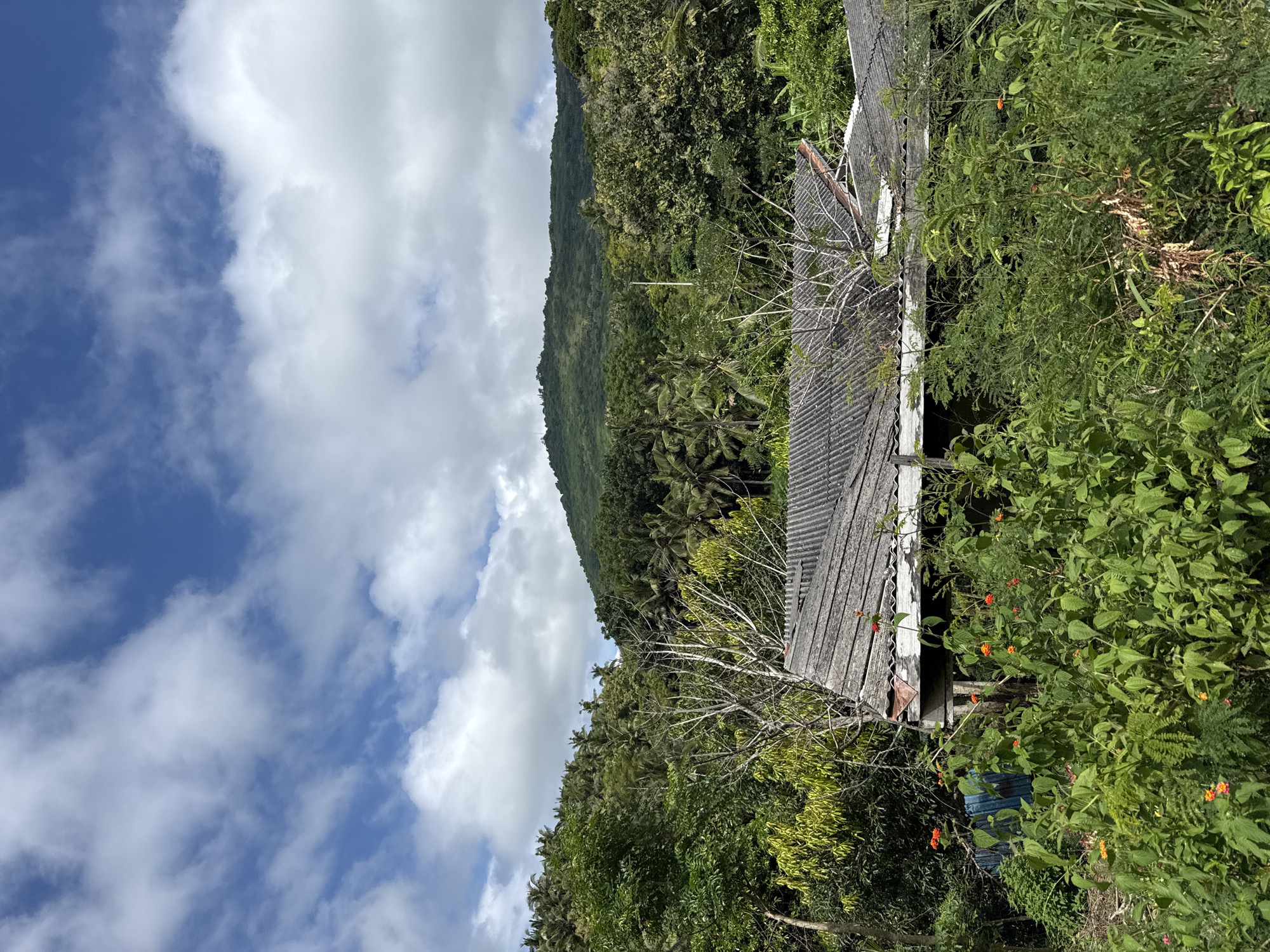 The image captures a scene in Pejukutan, Indonesia. It features a dilapidated structure with a corrugated roof, partially obscured by overgrown vegetation including plants with small orange flowers. In the background, a lush green hillside rises towards the sky. The sky above is partly cloudy with a blue backdrop.