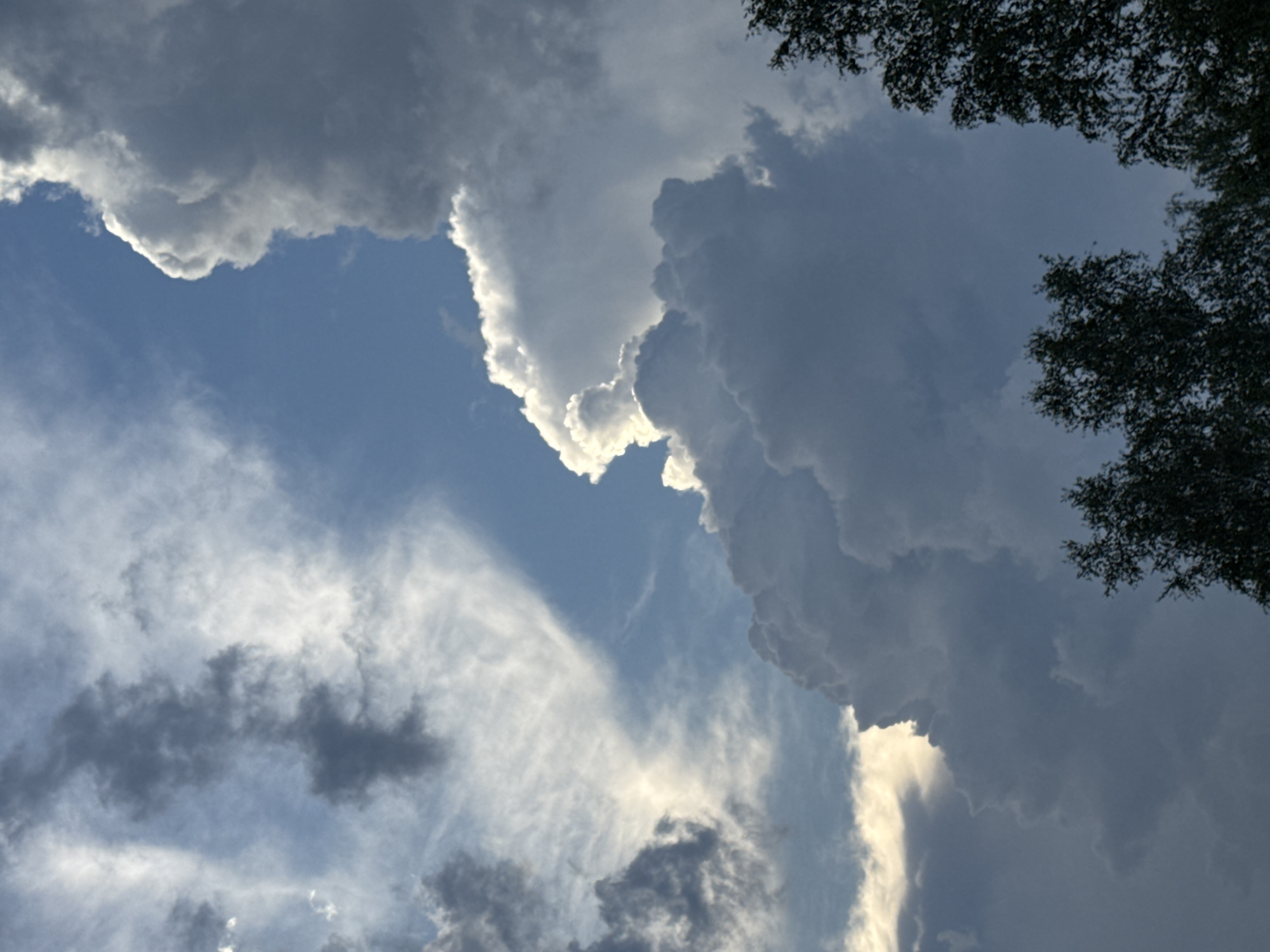 The image shows a dramatic sky filled with large, dark, and light-colored clouds. The clouds are highly textured, with some appearing wispy and illuminated from behind by the sun, while others are dense and foreboding. In the lower portion of the image, the silhouettes of the tops of several deciduous trees are visible against the sky. The overall impression is one of an approaching storm or the aftermath of one, with a strong contrast between light and shadow in the clouds. The scene is likely a natural landscape given the focus on the sky and trees. The city of Архангельское, Russia is mentioned as the location, suggesting this is a view of the sky above that area.