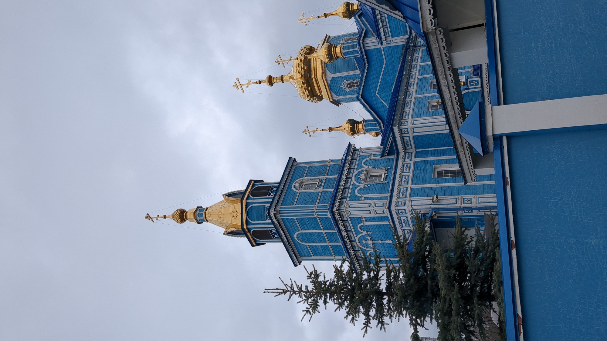 The image shows a blue wooden church with golden domes, located in Ulyanovsk, Russia. The architecture is characterized by intricate woodwork and multiple levels. A pine tree is partially visible in the foreground. The sky is overcast. The church has golden cupolas with Orthodox crosses. The building appears to be facing towards the viewer, though it is angled.