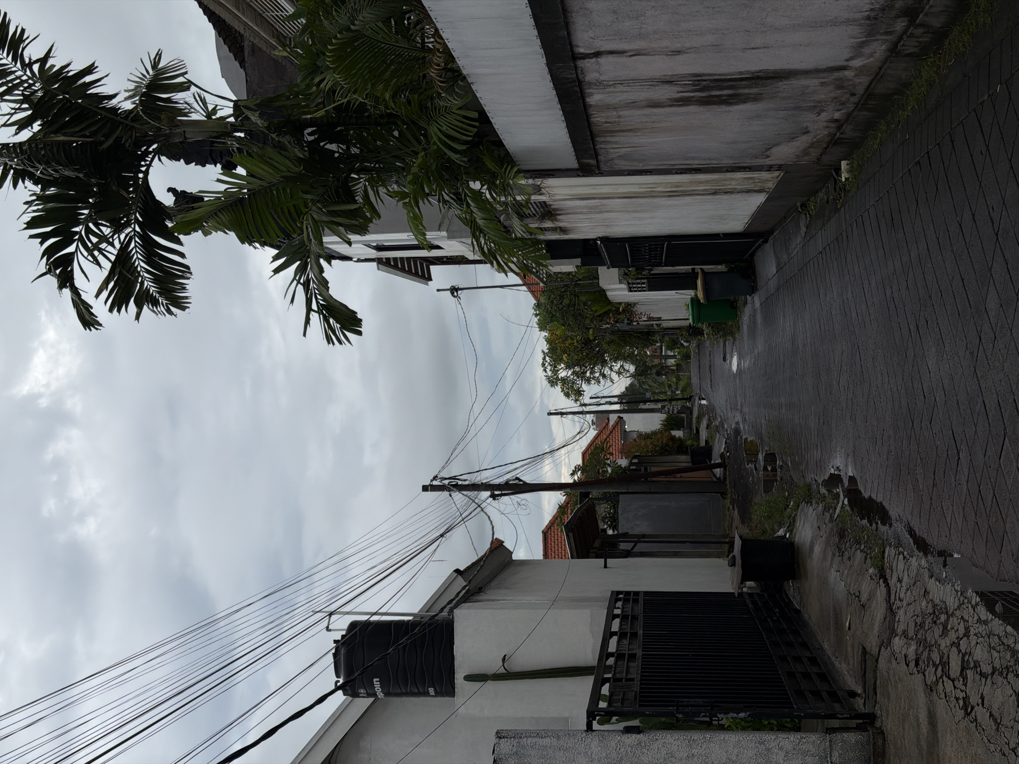 This image depicts a narrow residential street or alleyway in North Kuta, Indonesia, under an overcast sky. The street, viewed in portrait orientation, is paved with dark interlocking blocks, showing numerous wet patches and puddles, suggesting recent rainfall.
On the left side of the street, white-walled buildings are visible. In the foreground, a building features a black metal gate and, on its rooftop, a black water tank with the text "UNIOIN 800" visible. A tall, slender cactus grows against the building's wall. Above, a dense network of black utility wires stretches across the frame, connected to a utility pole further down the street.
The right side of the street is bordered by a concrete wall that appears worn and damp, with patches of green grass growing at its base. Further along the street, more residential buildings with white walls and some with terracotta-colored roofs are partially visible, interspersed with trees and bushes. Green trash bins are discernible near one of the buildings.
The sky is uniformly cloudy and grey, indicating an overcast day. High in the upper part of the image, large fronds of a palm tree are prominent, and within their canopy, a bird (likely a dove or pigeon) can be seen resting in a nest. No human activity is visible, and the scene conveys a quiet, everyday streetscape.