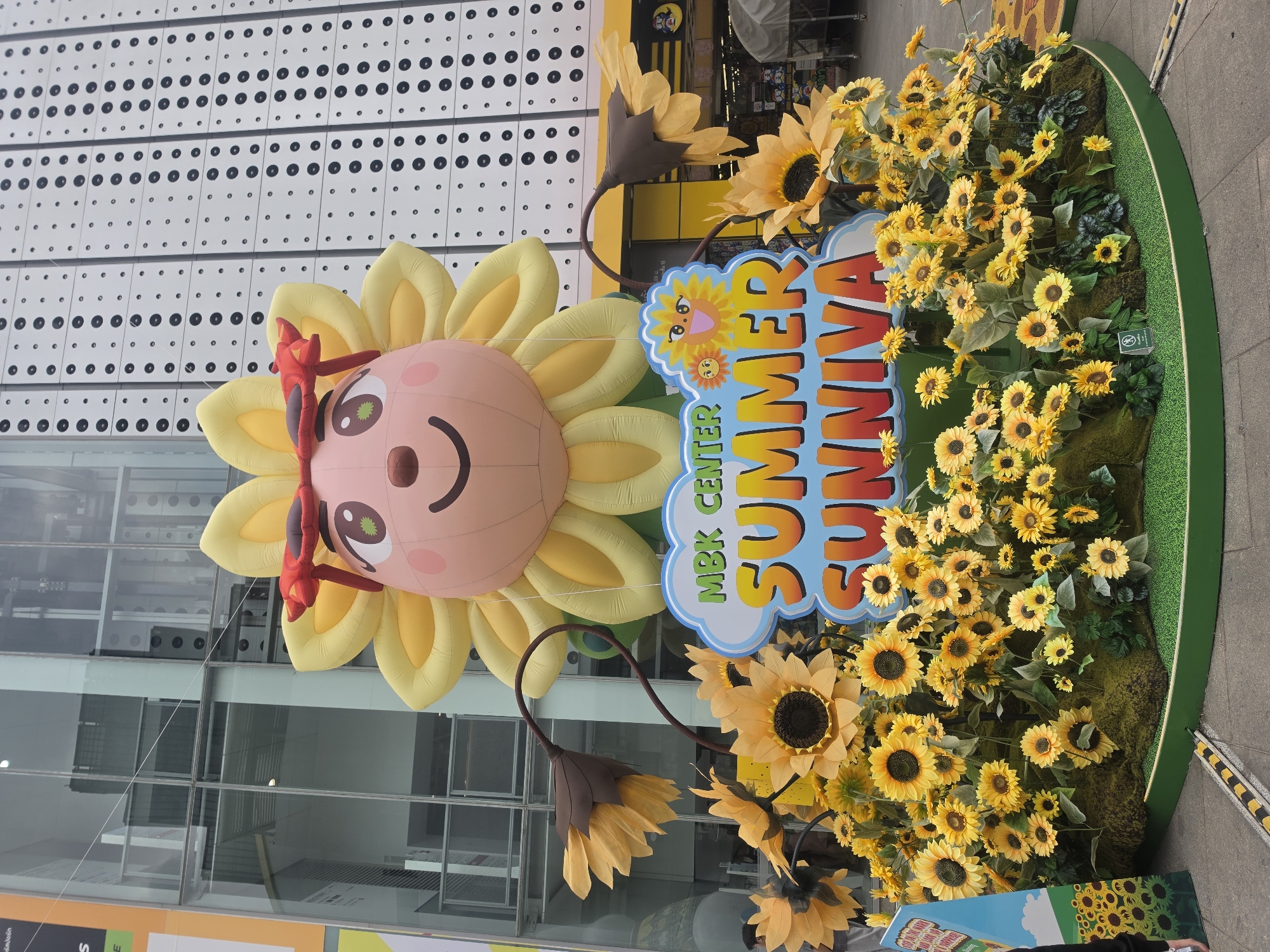 An eye-level, outdoor shot shows a cheerful, cartoon-like sunflower display outside the MBK Center in Bangkok, Thailand. The display features a large, inflatable sunflower with a smiling face and red hair bow, positioned next to a sign that reads "MBK CENTER SUMMER SUNNIVA." Additional artificial sunflowers are arranged around the sign and in a green planter. The building behind the display has a modern facade with reflective glass and rows of evenly spaced black circles. A glimpse of the busy street and other storefronts can be seen in the background.