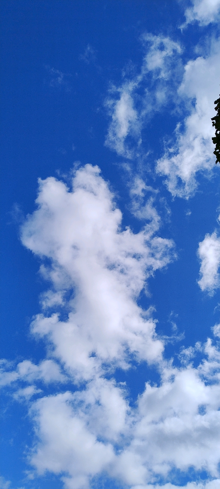 The image shows a clear blue sky with scattered white clouds. The clouds vary in size and density, with some appearing wispy and others more substantial. In the top right corner, a dark green tree branch is partially visible, suggesting the photo was taken from the ground looking upwards. There is no indication of the city of Ishøj, Denmark, or any specific landmarks within the image. The scene is calm and natural, with no people, objects, or actions present beyond the clouds and the edge of the tree.