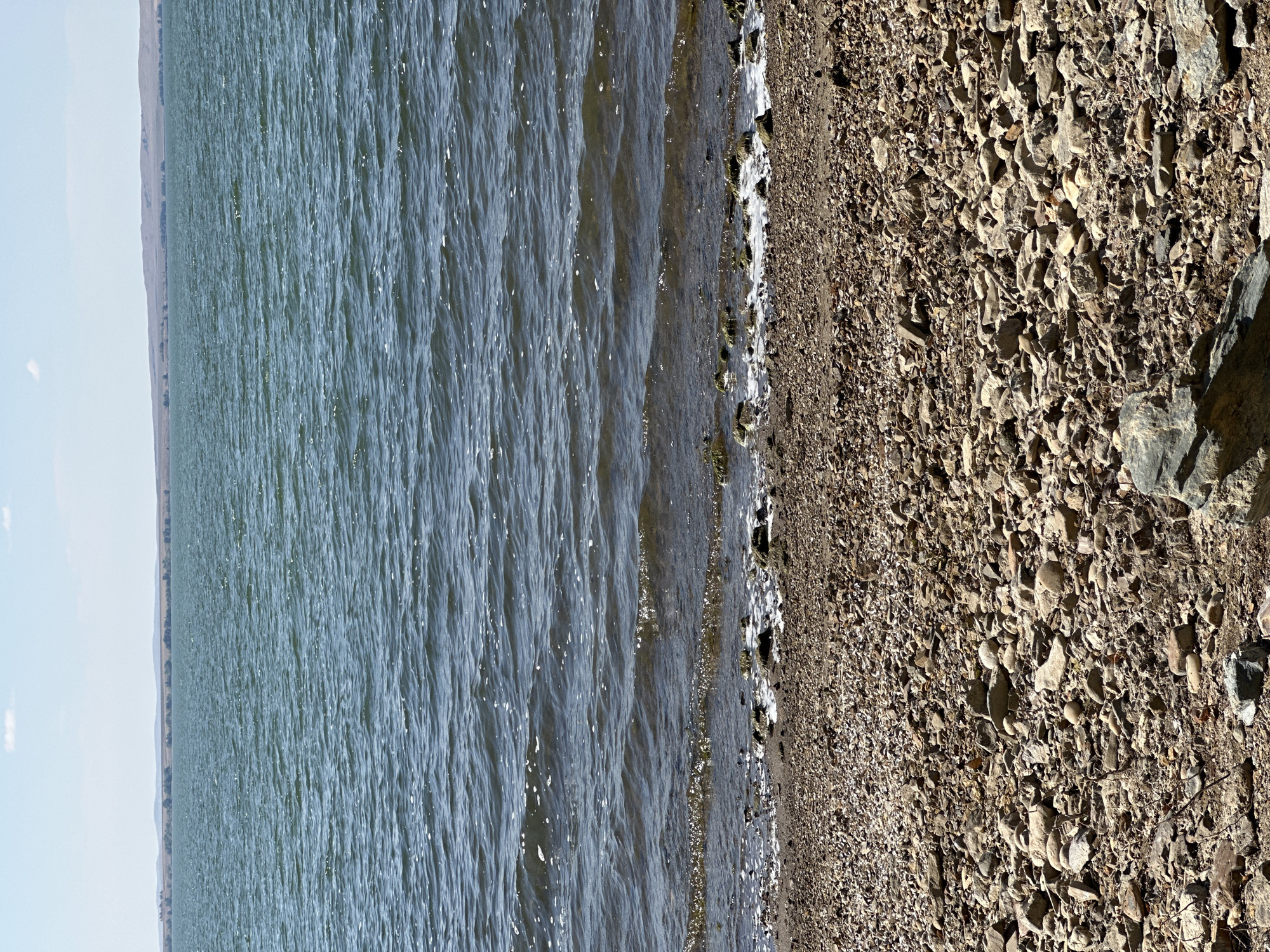 The image depicts a natural scene of a body of water meeting a rocky shore, under a partly cloudy sky. The foreground is dominated by a dense scattering of various-sized rocks and pebbles, ranging in color from light brown to dark gray. Some of these rocks appear smooth, while others are rough and angular. A few dry twigs and sparse vegetation are visible amongst the stones.
The middle ground features the shoreline, where the water gently laps against the rocks. Small waves create a foamy white edge along the water's perimeter. The water itself is a deep blue-green, with ripples and small whitecaps suggesting a light breeze. The water extends to the horizon line.
In the background, a distant landmass is visible, characterized by rolling hills with a muted, earthy tone. A faint line of trees or vegetation can be discerned along the crest of the hills. The sky above is a pale blue, with scattered, wispy white clouds.
The scene is devoid of human presence or any man-made structures, suggesting a natural or undeveloped area. The overall impression is one of a serene, quiet, and expansive landscape. Without specific identifying landmarks, it is impossible to definitively place this image within the city of Gornyi Erik, Russia.