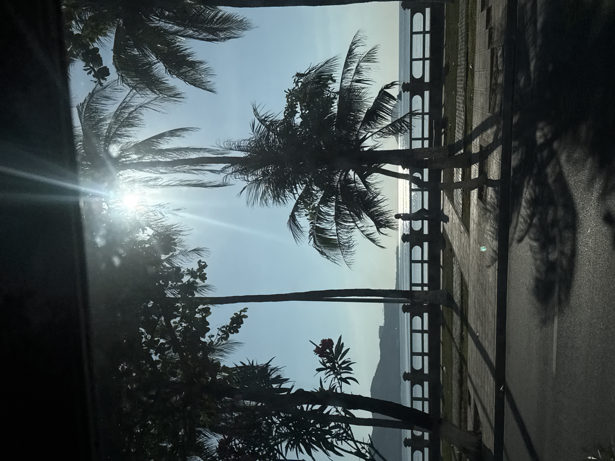 The image shows a view from inside a car, looking out at a coastal scene in Bac Nha Trang Ward, Vietnam. The foreground is dominated by the silhouettes of palm trees and other foliage against a bright, hazy sky. The sun is shining brightly, creating a lens flare effect in the upper left quadrant.
Beyond the trees, there's a walkway with a decorative railing that separates it from the ocean. The ocean itself is calm, with a distant view of a hazy coastline or mountains. The walkway appears to be made of paved stones. To the right of the walkway is an asphalt road, casting long shadows from the palm trees, suggesting it is late afternoon or early morning. Two small figures are visible on the walkway, walking away from the camera.
The overall mood is peaceful and tropical, characteristic of a beachside location. The bright sun and the silhouettes suggest a clear day. No text is visible in the image.