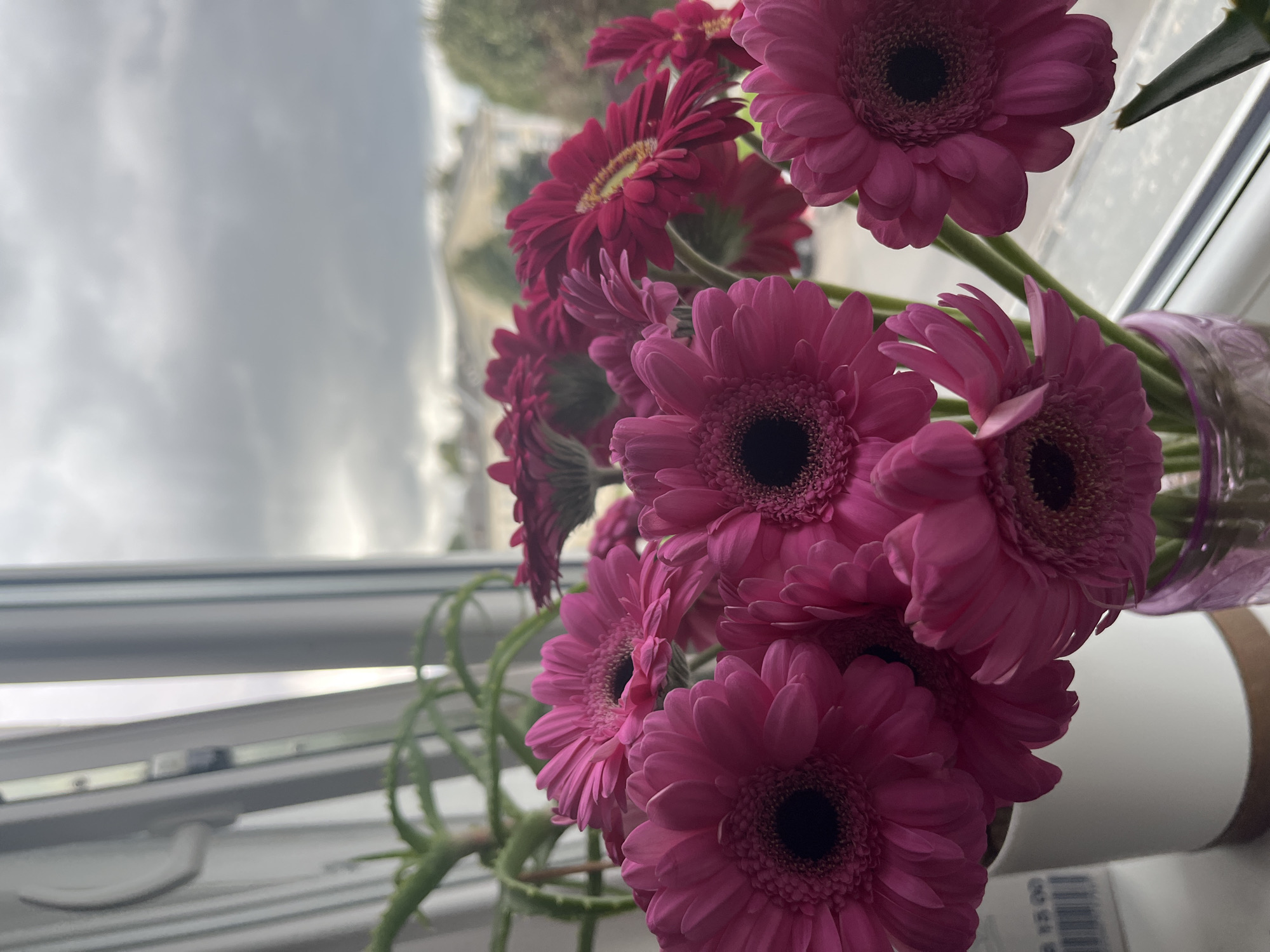 A close-up, eye-level shot features a bouquet of vibrant pink Gerbera daisies with dark centers, prominently displayed in the foreground. The flowers are arranged in a white ceramic pot, with a hint of a pink glass vase to the right. Behind the flowers, an aloe vera plant is partially visible. The scene is set by a window, with the glass pane and a sliver of window frame visible on the left. Through the window, a view of a hazy, overcast sky and a distant, blurred landscape with houses and trees suggests an urban or suburban setting. The overall atmosphere is one of indoor domesticity contrasted with an uninviting, cloudy exterior.