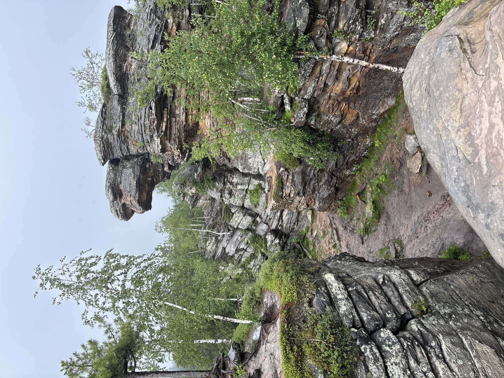 The image depicts a natural landscape characterized by towering rock formations and abundant greenery. The rocks are layered and weathered, with some exhibiting a rusty hue, while others are a deep grey, covered in patches of moss and lichen. Vegetation, including birch trees with their distinctive white bark and other leafy trees, grows among and on top of the rocks, as well as on the surrounding terrain. A narrow, winding dirt path is visible, suggesting it's a trail through this rugged environment. The sky is overcast, creating a muted light that casts a soft glow on the scene. The overall impression is one of a wild and untamed natural setting. The location is identified as being in the city of Shumikhinskii, Russia, suggesting this is a natural park or protected area within the city's vicinity. There are no people or animals visible in the image.