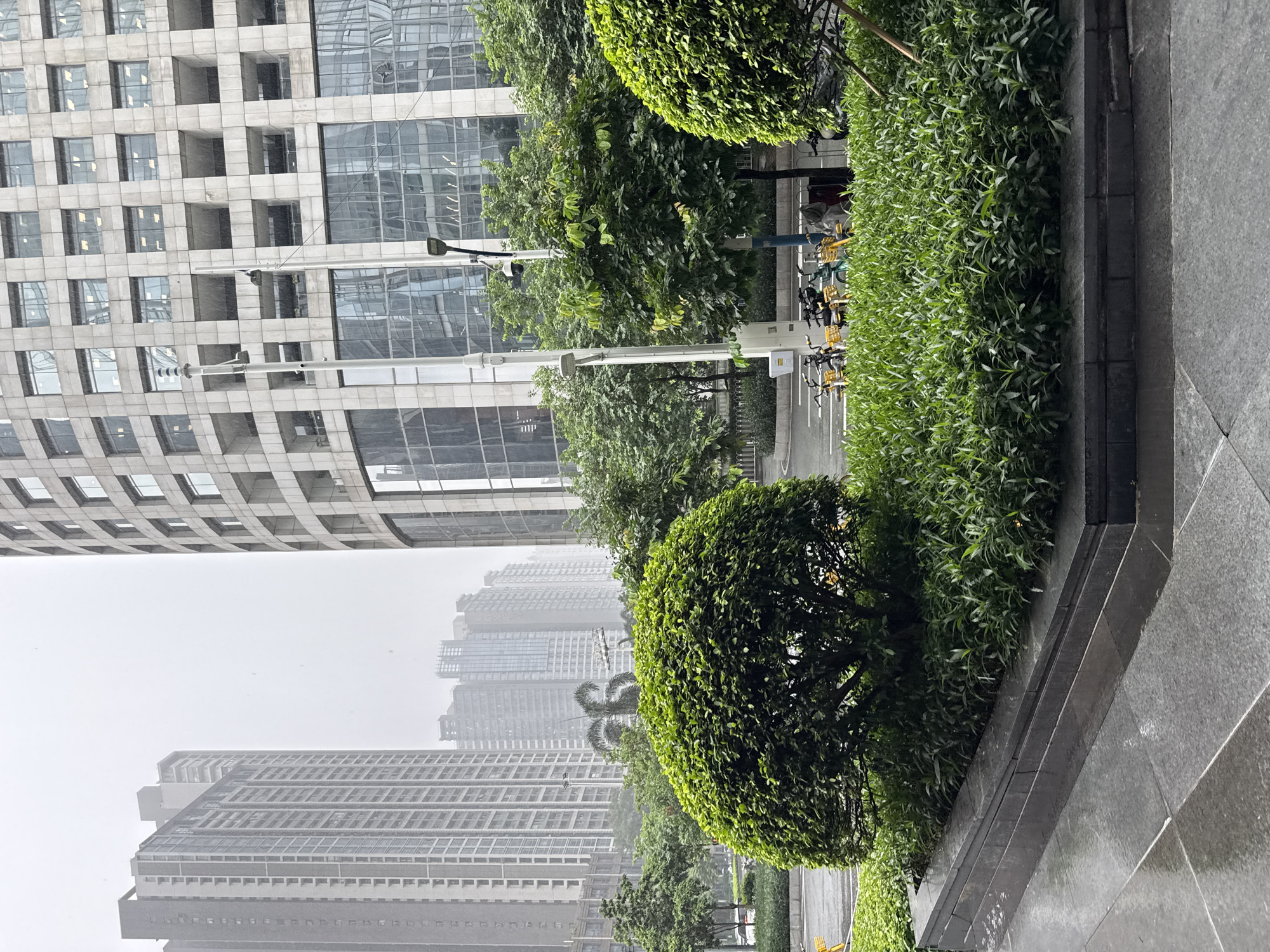 The image depicts an outdoor scene in Tianhe District, China, on a wet, overcast day. In the foreground, a wet paved walkway leads to a raised planter bed filled with dense, green foliage. A large, rounded shrub with dark green leaves is prominent in the center-left of the frame. Behind the shrub, a paved street is visible with several bicycles parked in a rack.
Dominating the background are modern high-rise buildings. To the right, a curved, multi-story building features a grid of stone cladding and numerous glass windows, some reflecting the overcast sky. To the left, a tall, rectangular skyscraper with a grey facade and many windows stands prominently. Further in the distance, more high-rise buildings are visible through a hazy, urban atmosphere. The overall impression is of a contemporary urban environment experiencing inclement weather.