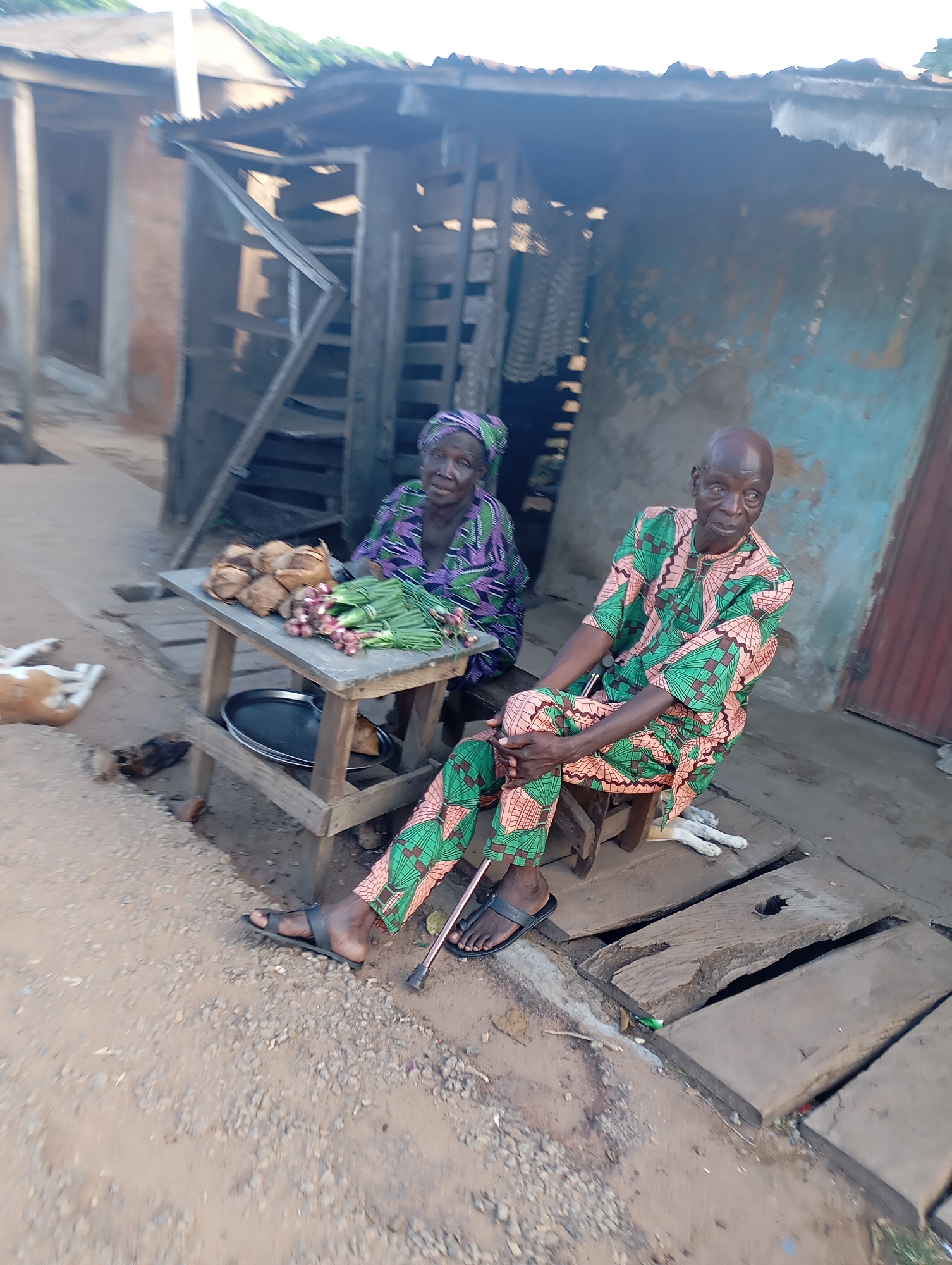 In Shendam, Nigeria, an elderly African man and woman sit outside a weathered, corrugated metal and wooden structure, possibly a shop. The man, wearing a vibrant green and peach patterned garment, sits on a stool and leans on a walking stick, his bald head and thoughtful gaze capturing attention. Beside him, the woman, dressed in a purple and green patterned attire, is seated at a rustic wooden table laden with fresh produce, including bunches of green onions and what appear to be coconuts or other root vegetables. A white and brown dog rests peacefully on the ground near the man's feet, while another small brown animal is partially visible nearby. The ground is a mix of dirt and gravel, and the overall environment suggests a simple, everyday scene in a rural or semi-urban setting.