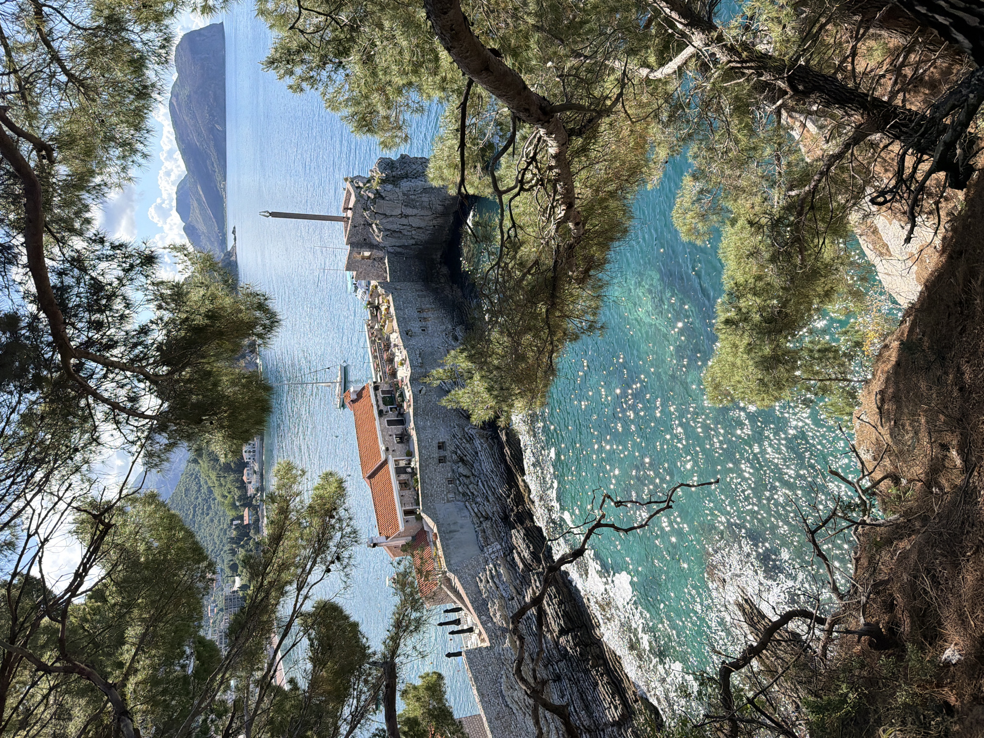 The scene captures a view from an elevated position, possibly a hillside, overlooking a coastal area in Petrovac centar, Montenegro. The turquoise-colored sea dominates the lower portion of the image, with sunlight reflecting off the water's surface. A rocky coastline is visible, featuring stone structures and buildings with red-tiled roofs. Trees frame the view, partially obscuring the scene with their foliage. In the background, a mountainous landscape stretches into the distance.