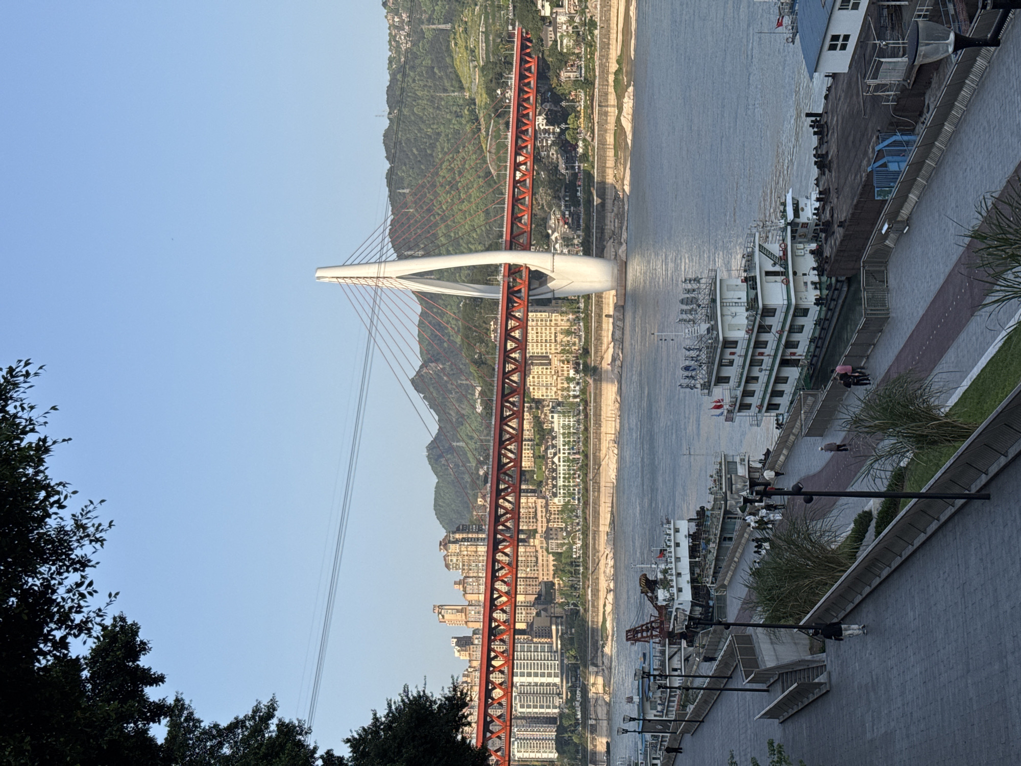 This is an outdoor scene of the city of Chongqing in China, specifically within the Yuzhong District. The image captures a view of a bridge with a distinctive white tower and red support structure that spans a wide river. Numerous buildings of varying heights and architectural styles are clustered along the riverbank and extend up the slope of a mountain in the background. The river reflects the sunlight. A paved walkway runs along the lower edge of the frame, lined with street lights and greenery. There are ships docked parallel to the walkway. Some people are walking along the walkway. Trees are visible on the far left of the frame. The sky is a clear blue.