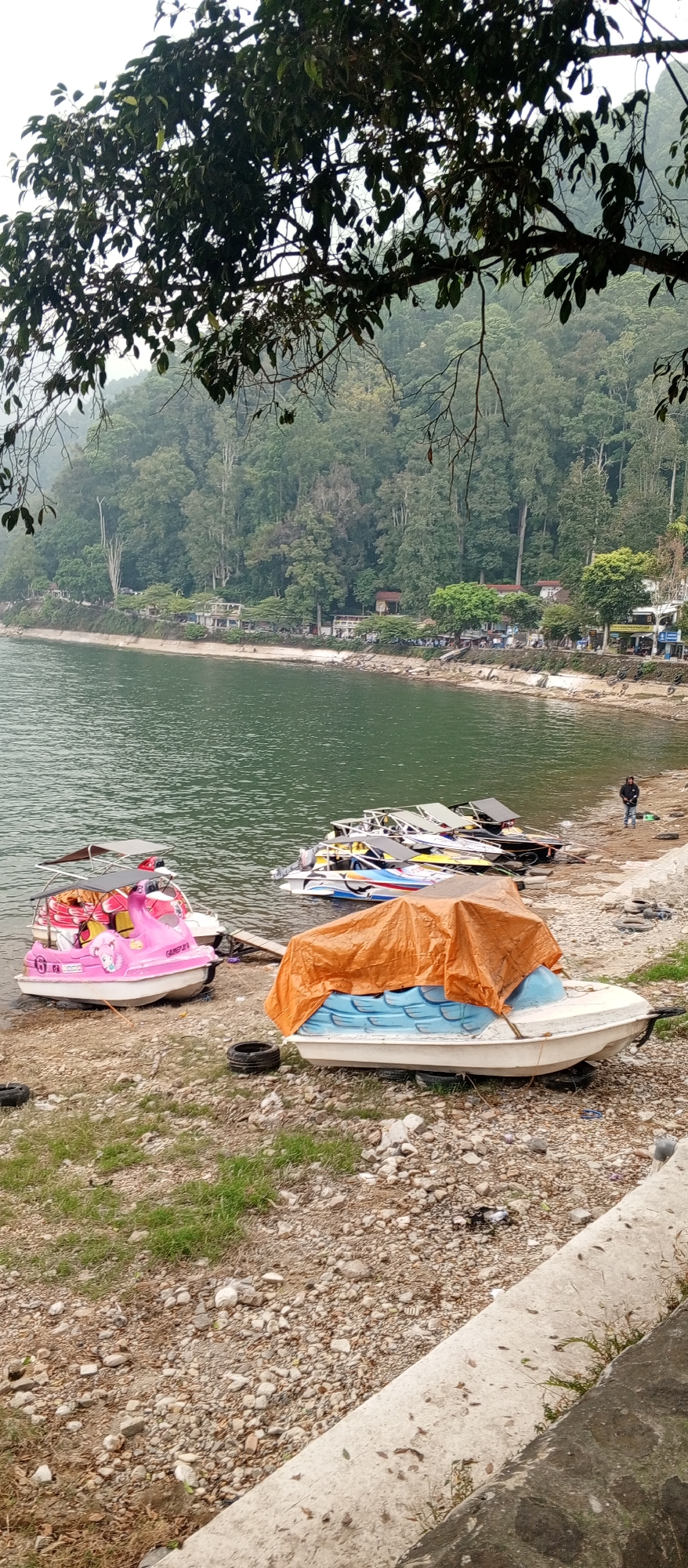 In Sarangan, Indonesia, a tranquil lakefront scene unfolds under a canopy of lush trees. The foreground is dominated by a rocky shoreline where several boats are moored. A vibrant pink pedal boat, shaped like a swan, sits prominently, its canopy casting a shadow. Beside it, another boat is partially covered with an orange tarp, revealing a blue, scale-patterned hull underneath. Further back, a line of motorboats, their colorful decals visible, are docked along the water's edge. A solitary figure, dressed in dark clothing, stands near the boats on the shore. The lake itself, a calm expanse of green water, laps gently against the stony bank. Across the water, a verdant hillside rises, densely forested with a variety of trees, receding into a misty, atmospheric background. Along the base of the hill, a developed area with buildings and parked vehicles suggests a small settlement or recreational zone adjacent to the lake. The overall atmosphere is one of peaceful coexistence between nature and human activity.