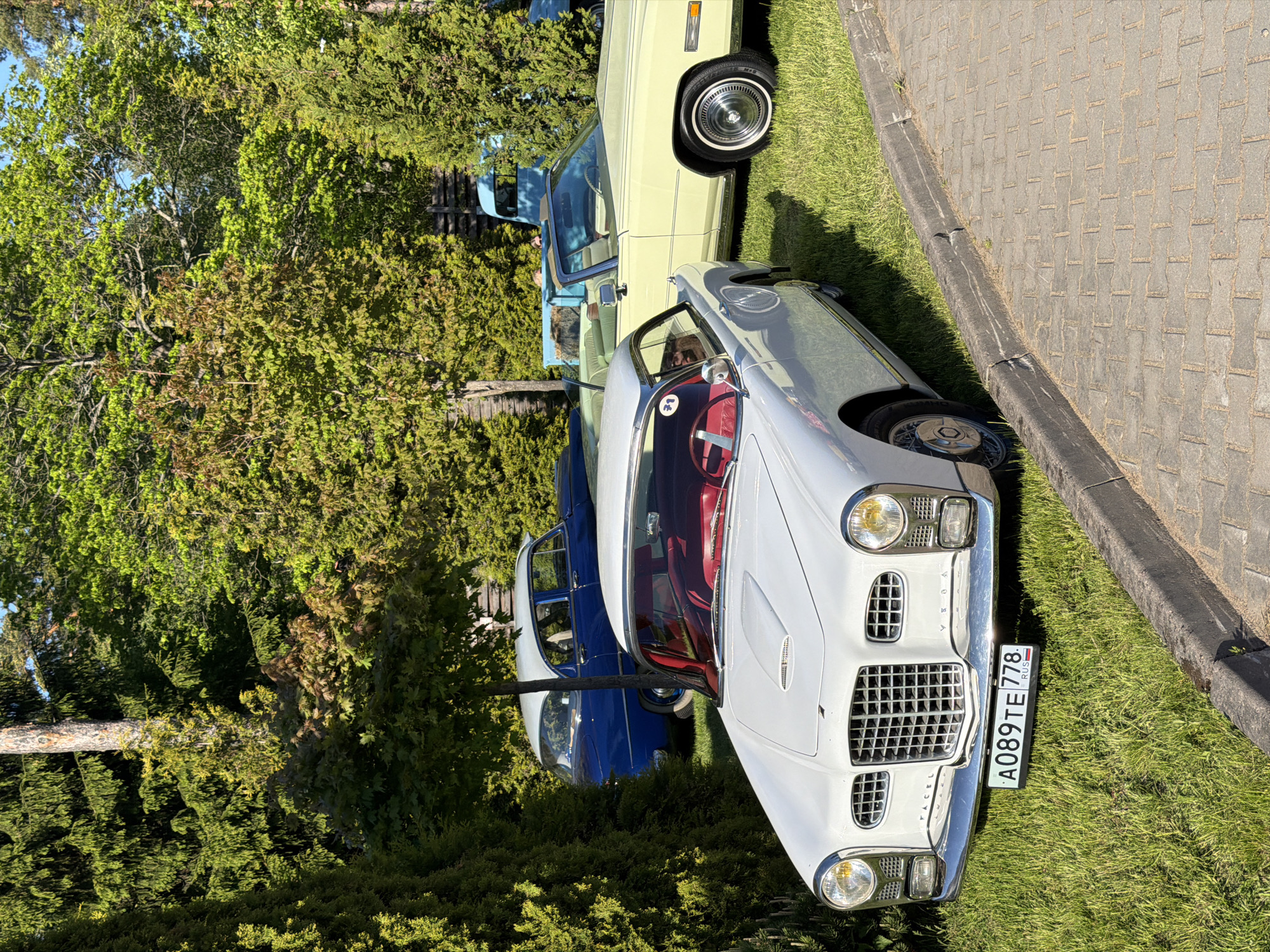 The image shows a collection of vintage cars parked on a grassy area, likely in Repino, Russia, as indicated by the Russian license plate "A089TE778" on the white Facel Vega car in the foreground. The vehicles are arranged on a patch of grass next to a paved walkway constructed of rectangular stones, suggesting a public space. Trees and shrubs form a backdrop, contributing to a natural setting. No people are immediately visible in the frame, focusing the attention on the automobiles.