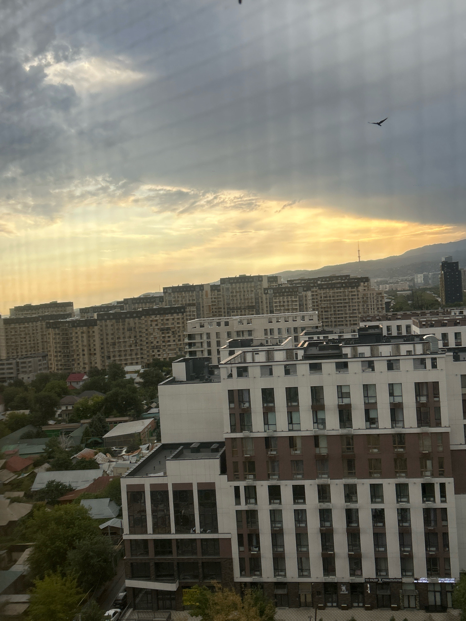 The image depicts a cityscape with numerous apartment buildings, possibly a residential area in Almaty, Kazakhstan. The sky is overcast with dramatic lighting, suggesting a sunset or sunrise with sunbeams breaking through the clouds. A solitary bird is visible in flight in the upper right portion of the sky. The foreground features a modern, multi-story apartment complex with a white and brown facade and numerous windows. Behind it, a series of older, taller apartment buildings stretch across the horizon. Trees and lower-lying residential structures are visible in the middle ground. In the distance, mountains form the backdrop to the city, with a prominent radio tower visible on one of the peaks. The overall scene conveys an urban environment under a dynamic sky.