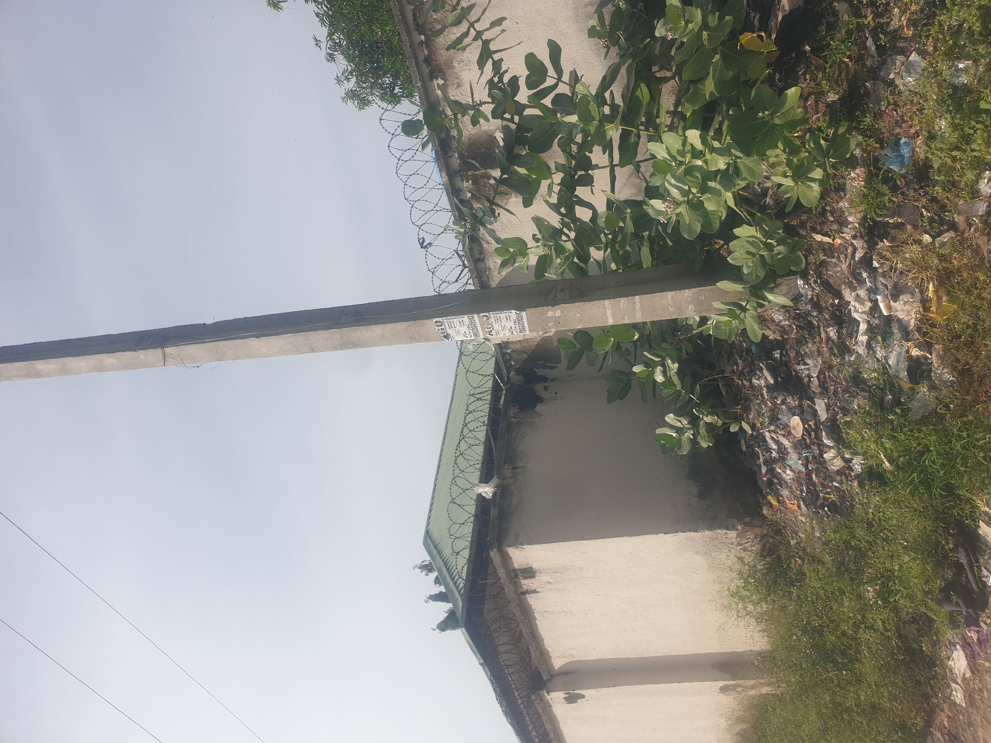 The image depicts an outdoor scene with a concrete utility pole in the foreground, adorned with a few attached flyers. Behind the pole, a low, cream-colored wall topped with barbed wire extends horizontally. A green-gabled roof of a building is visible above the wall, also partially lined with barbed wire. Lush green foliage grows alongside the wall, some of it climbing over it. The ground in front of the wall is littered with a significant amount of debris and trash, with some patches of green grass interspersed. In the distance, the sky is overcast and pale. The scene appears to be located in Jauro Yinu, Nigeria.