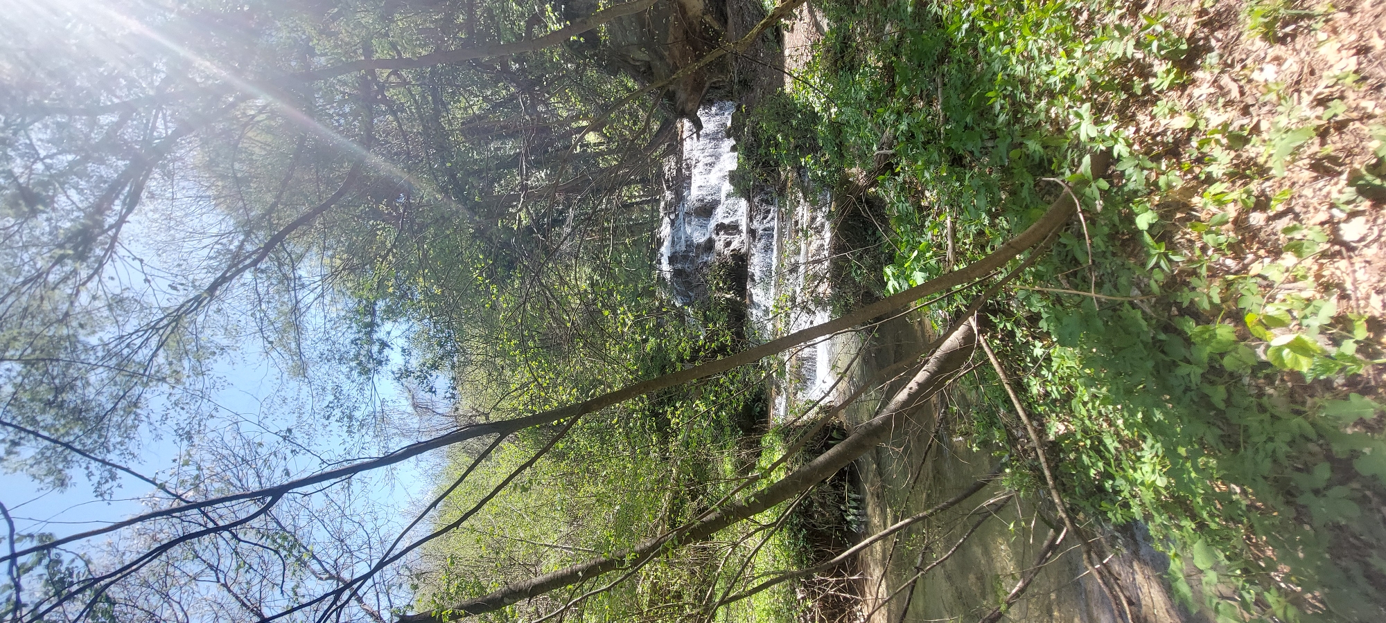 The image depicts a waterfall within a forest setting, likely near Бачковски манастир, Bulgaria. The waterfall cascades over rocks, with water flowing down. The foreground features bare tree branches, and the surrounding area is lush with greenery. The top left of the image shows the sky through the trees.