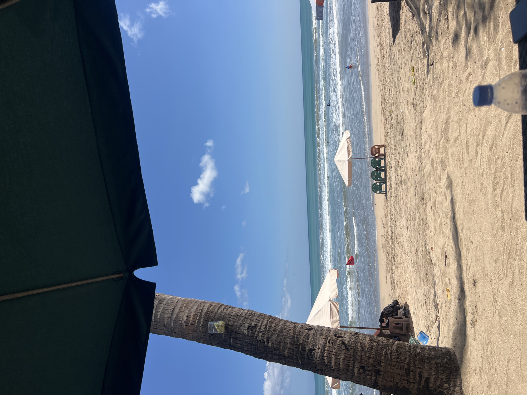 This is an eye-level, medium shot of a beach scene in Kuta, Indonesia. The foreground is dominated by a large palm tree on the left and a dark green umbrella overhead, casting shadows on the sandy beach. A plastic bottle with a blue cap is visible in the bottom right corner.
In the midground, two beige beach umbrellas are set up on the sand. One of the umbrellas has a red flag planted in front of it. A row of four colorful plastic chairs (three green and one brown) are arranged in front of the second umbrella. The ocean stretches out to the horizon, with gentle waves breaking on the shore. Several surfers can be seen in the water, and one person is wading near the shoreline. The sky is bright blue with scattered white clouds. The overall atmosphere is one of a relaxed, sunny day at the beach.